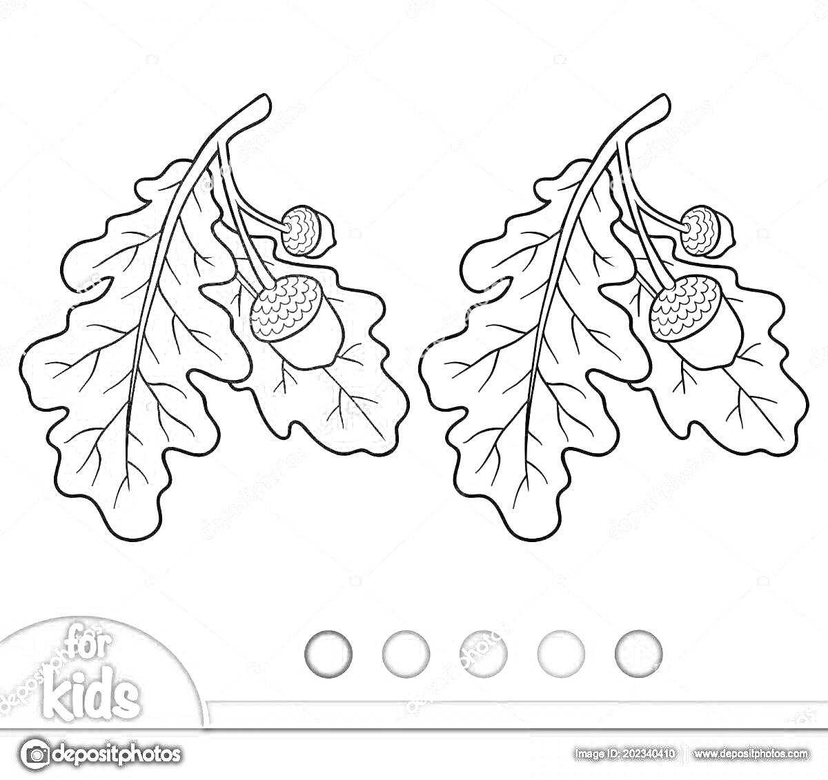 Раскраска Два дубовых листа с желудями - один раскрашенный, один для раскрашивания