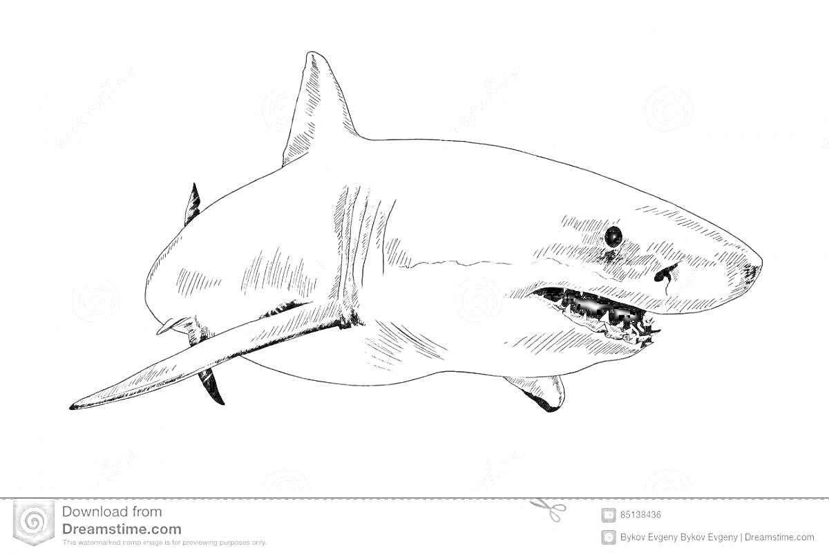 Раскраска Раскраска мегалодон - огромная доисторическая акула в океане