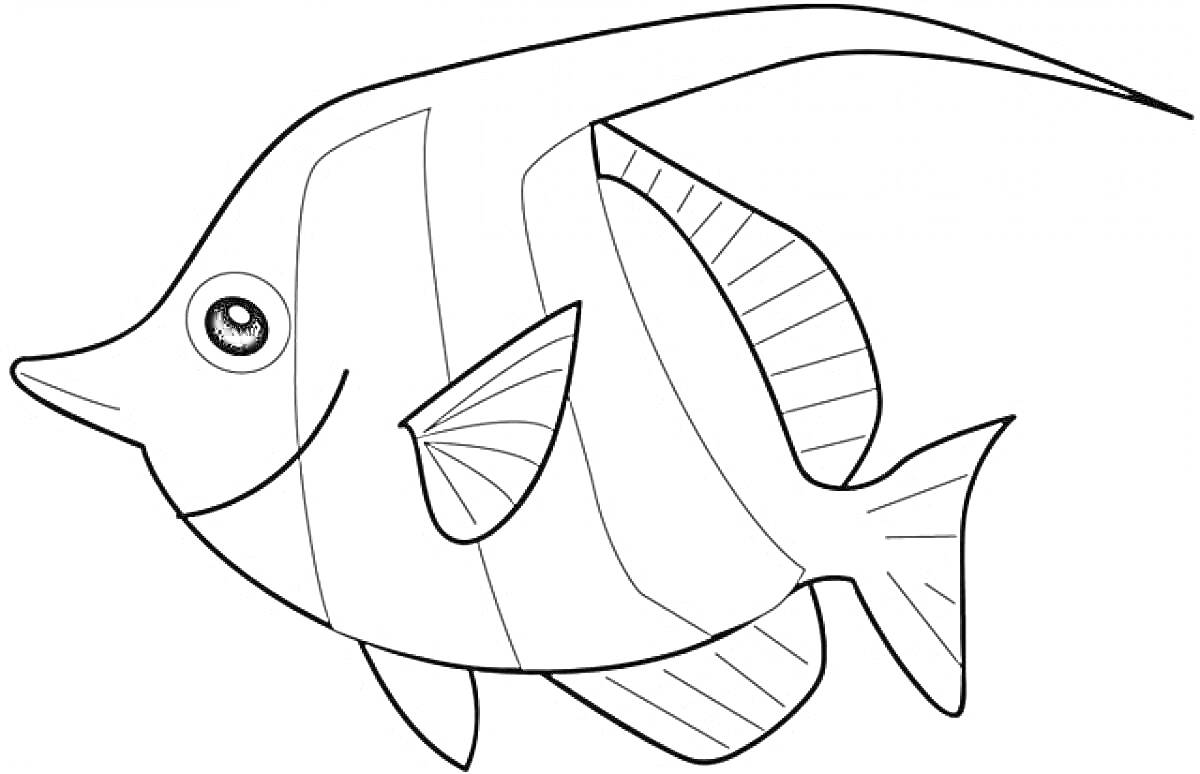 Раскраска Рыба с длинным плавником и полосками
