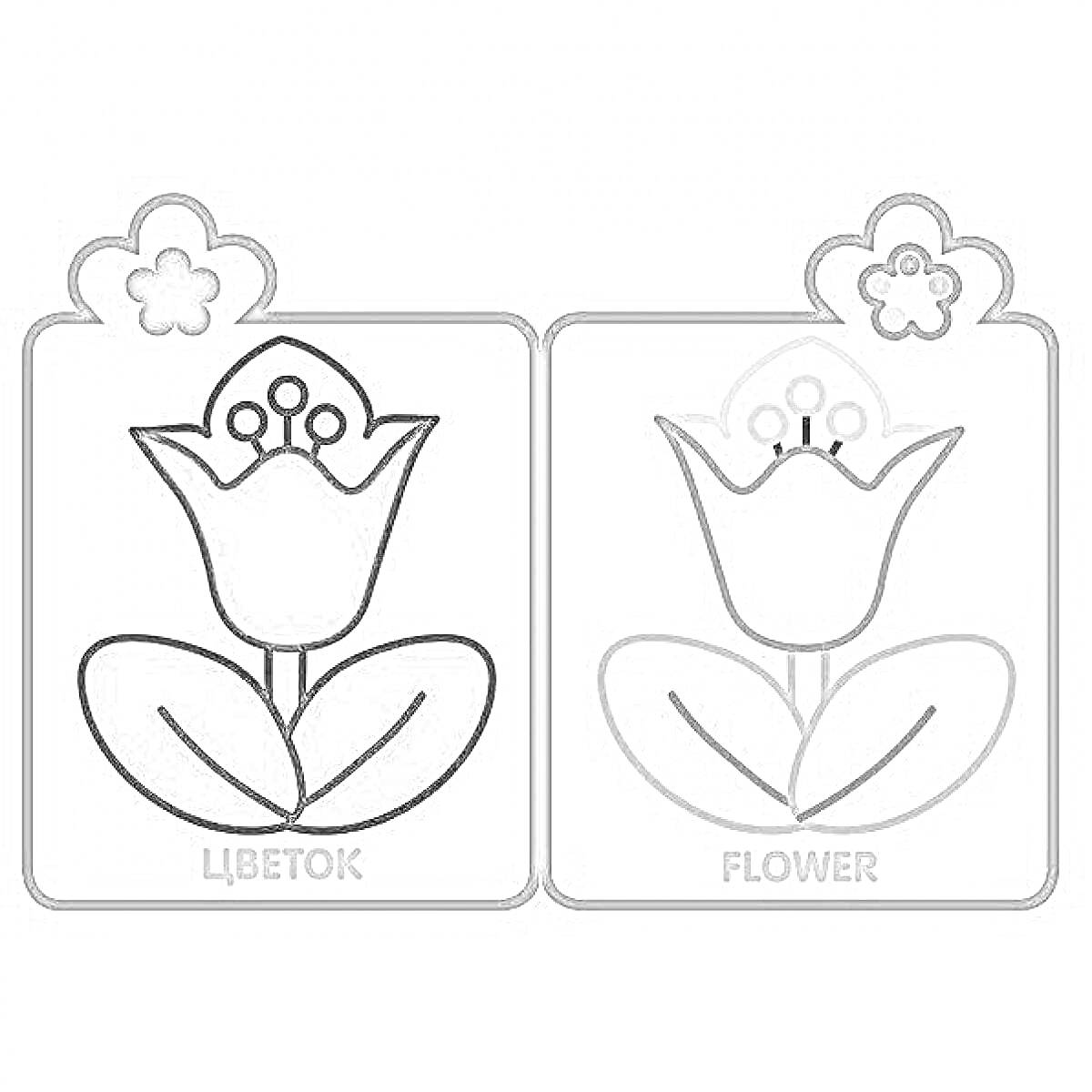 Раскраска Цветок, цветной контур, два варианта - русский и английский