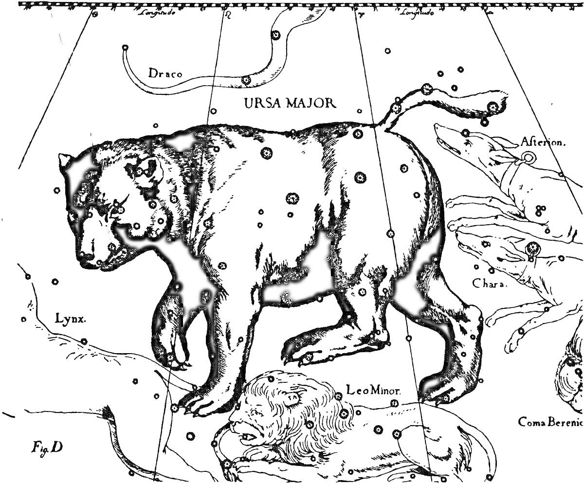 Созвездие Большой Медведицы с соседними созвездиями на звездной карте