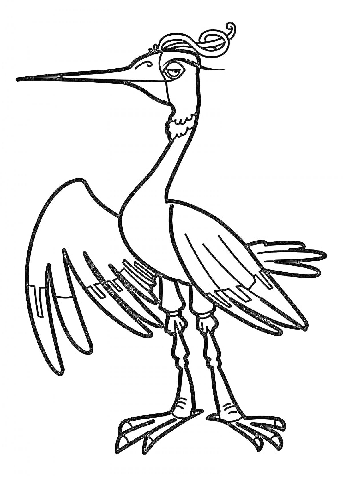 На раскраске изображено: Аист, Птица, Расправленные крылья, Украшение на голове, Длинные ноги