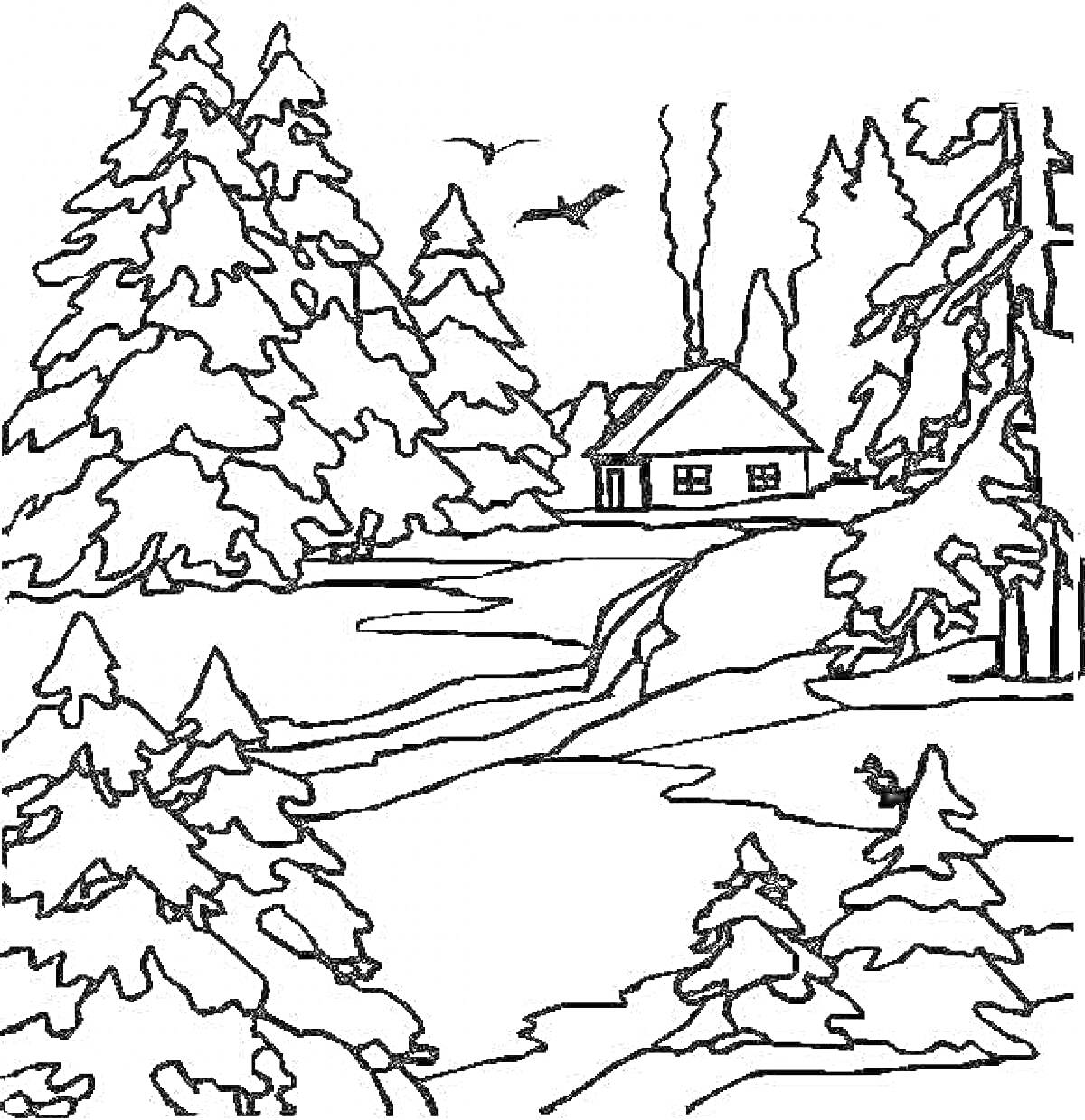 Раскраска Зимний пейзаж с домиком, лесными деревьями и птицами