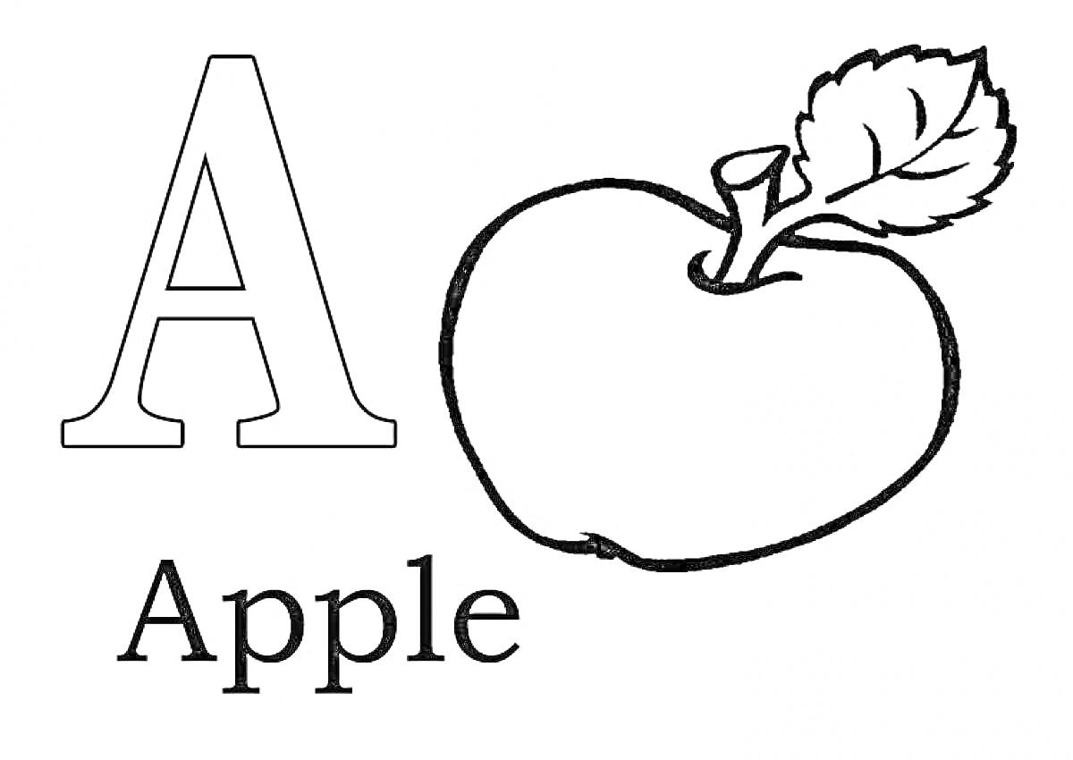 На раскраске изображено: Яблоко, Apple, Английский алфавит, Образование, Буквы, Буква А, Для детей