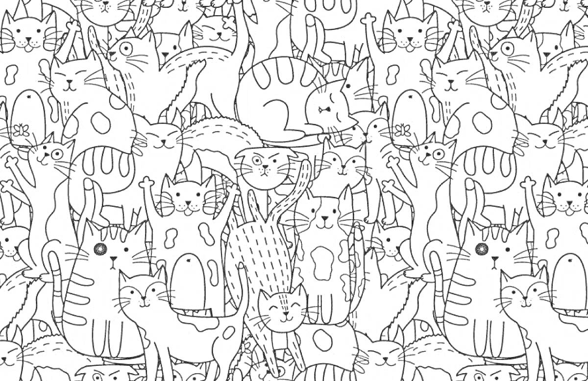 Раскраска множество различных котов с разными выражениями лиц и позами