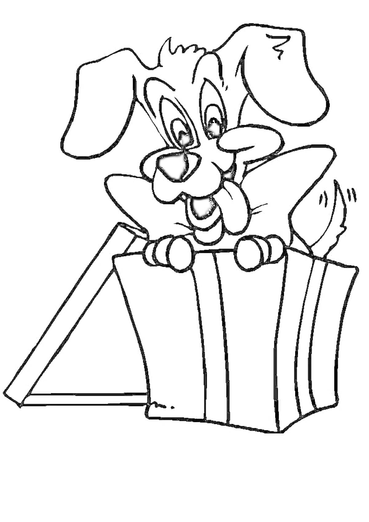 Раскраска Щенок в новогоднем подарке