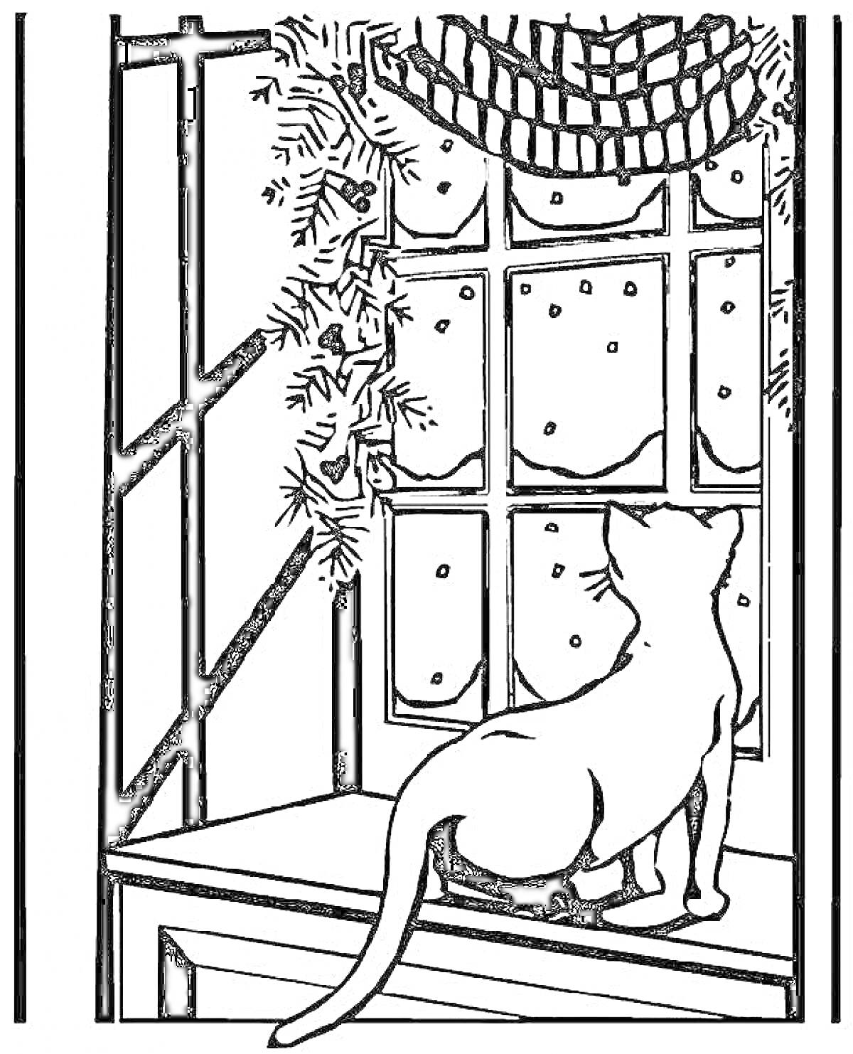 Раскраска Кот смотрит в зимнее окно с еловыми ветками и занавеской