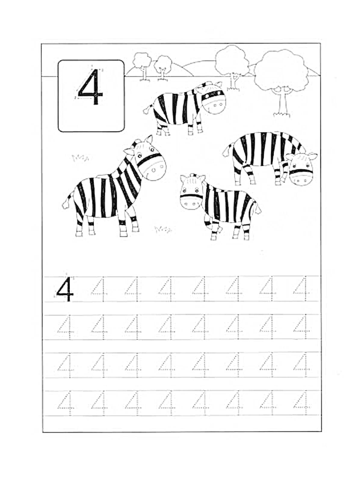 Раскраска Прописи цифры 4 с изображением зебр на фоне деревьев