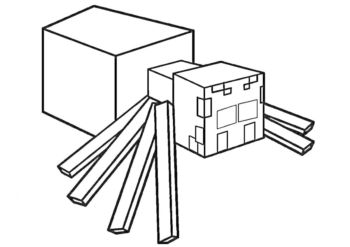 Раскраска Паук и куб из игры Майнкрафт