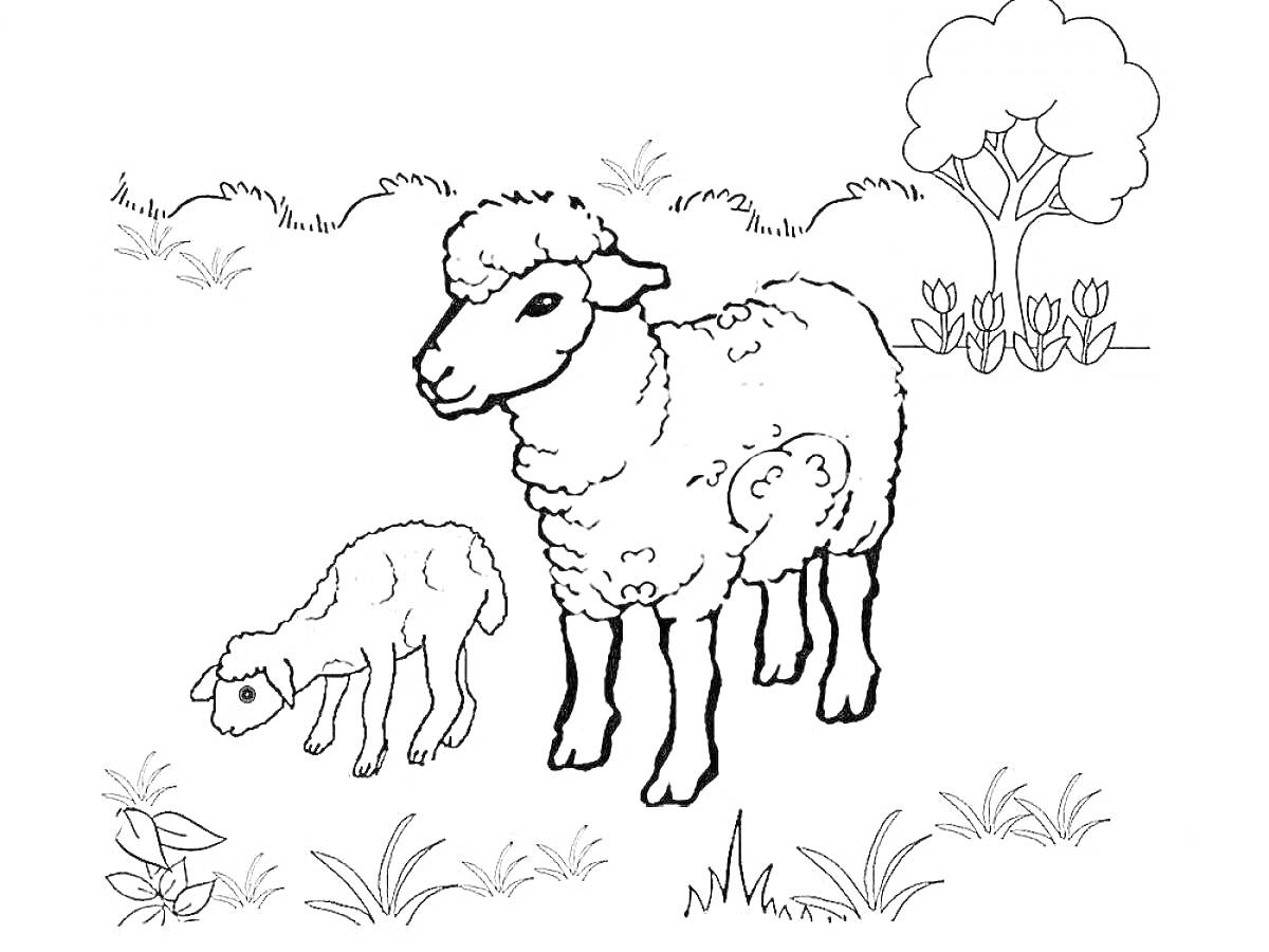 Раскраска Ягненок и овца на природе с деревом и цветами