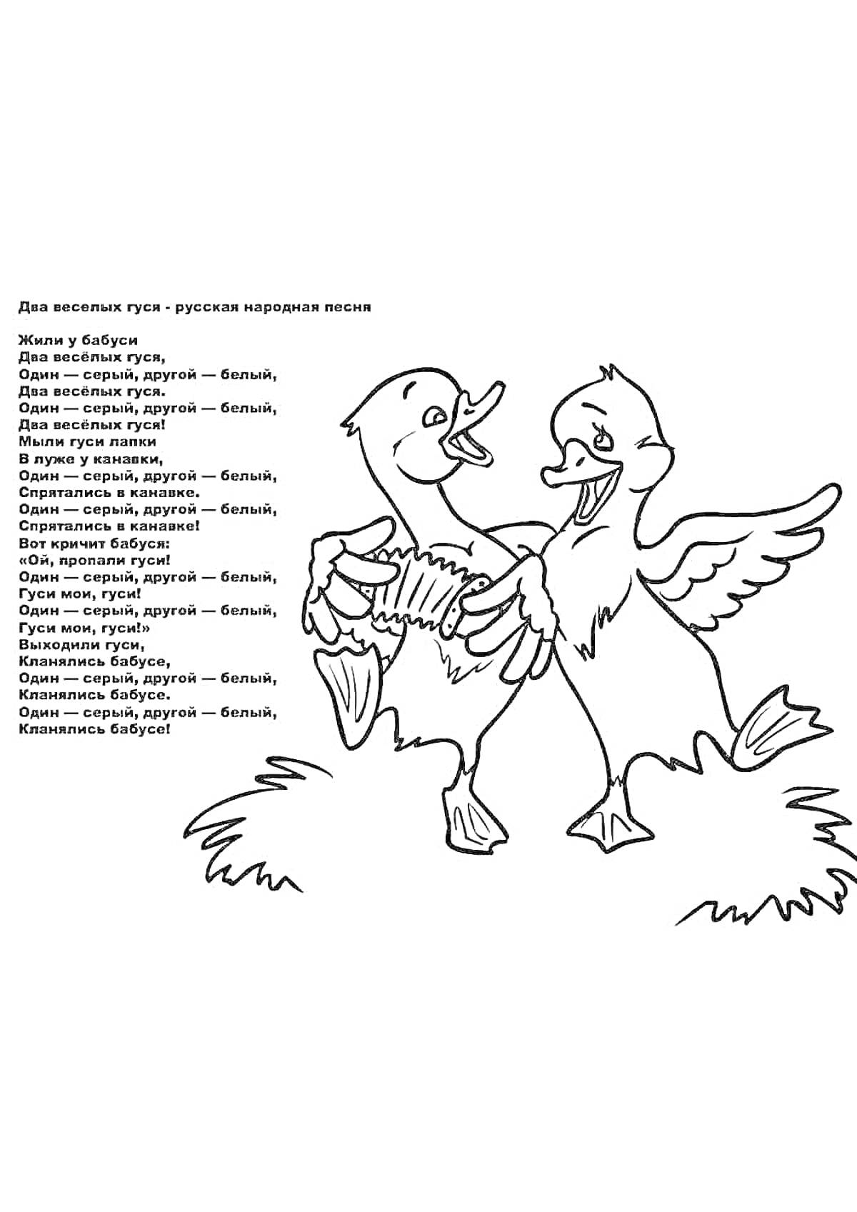 На раскраске изображено: Два гуся, Музыка, Инструмент, Песня, Текст, Веселье