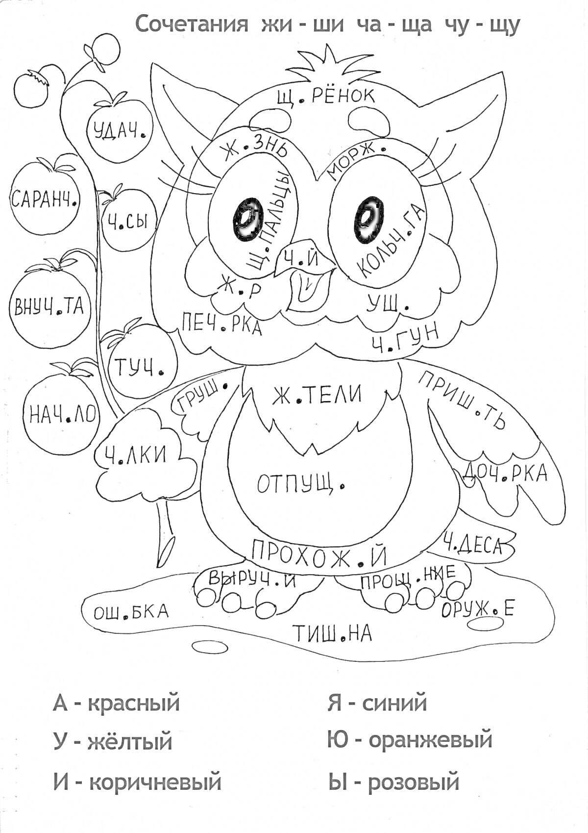 Раскраска Сова с орфографическими сочетаниями
