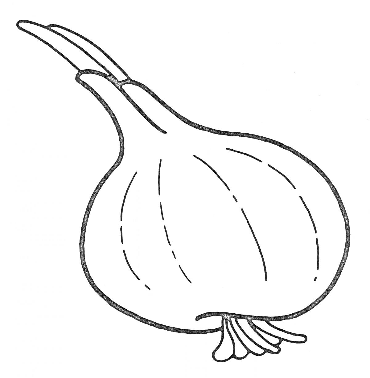 Раскраска Рисунок лука для раскрашивания
