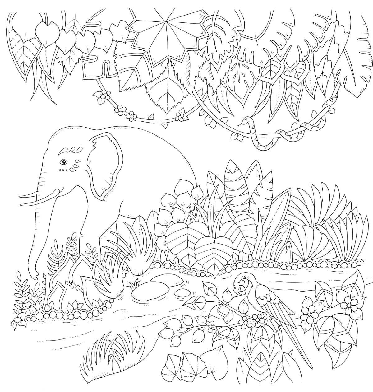 На раскраске изображено: Джунгли, Слон, Река, Растения, Листья, Цветы, Джоанна Басфорд
