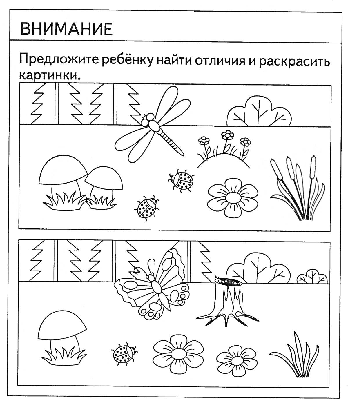 Раскраска с отличиями - стрекоза, бабочка, грибы, цветы, кувшинки, стрекоза, бабочка, пень, камыши