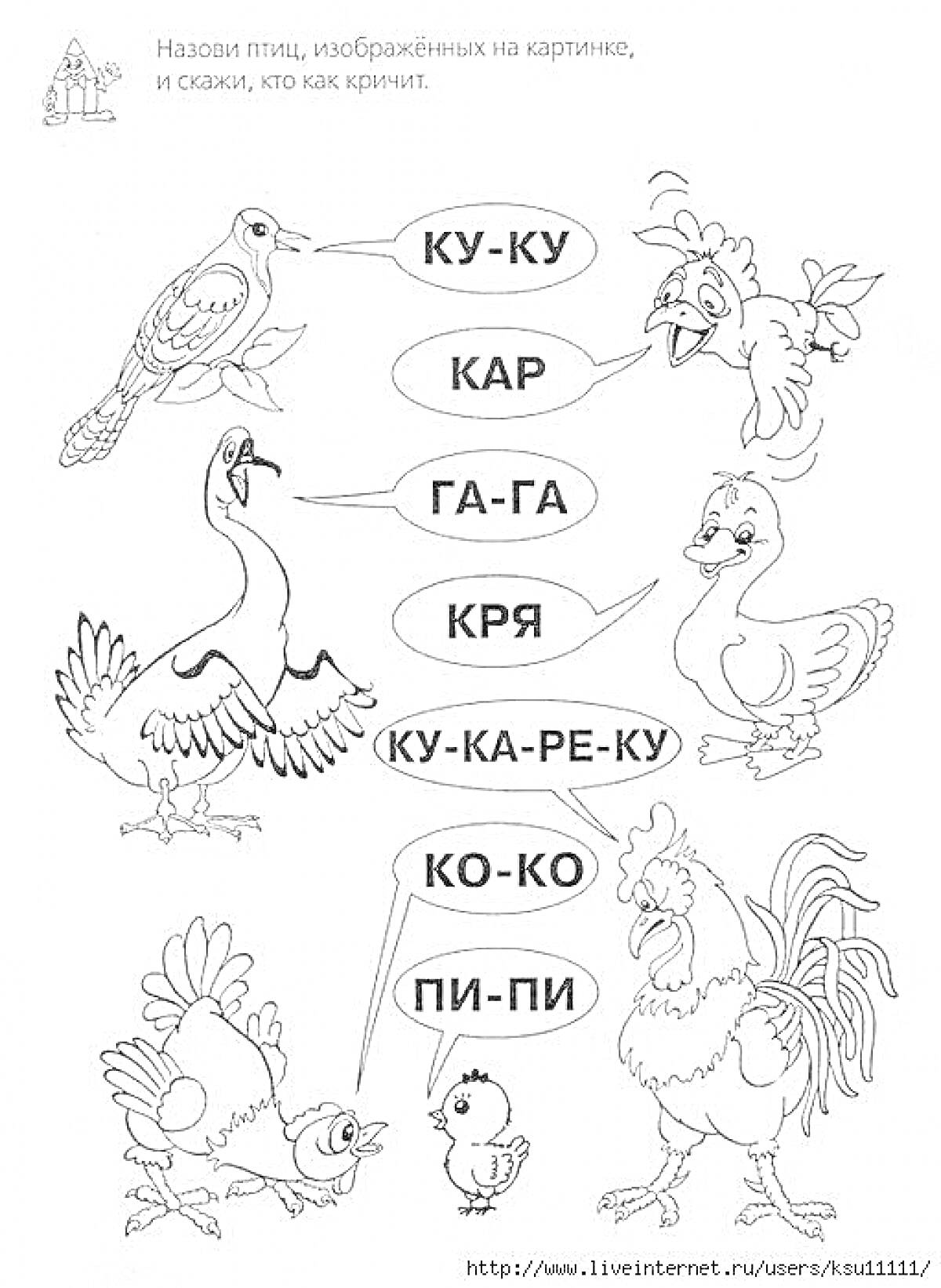 Раскраска Разговор птиц - попугай, воробей, гусь, утка, петух, курица, цыпленок