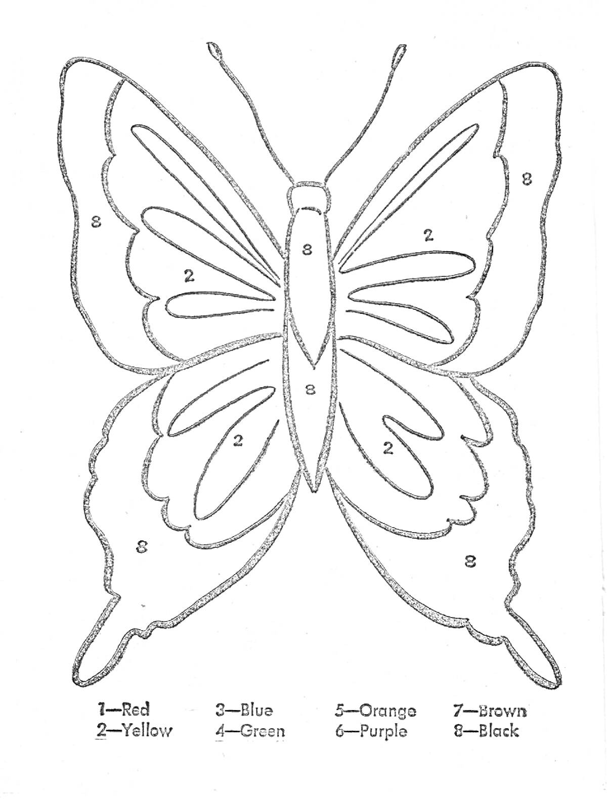 Раскраска бабочка с номерами для раскрашивания на английском