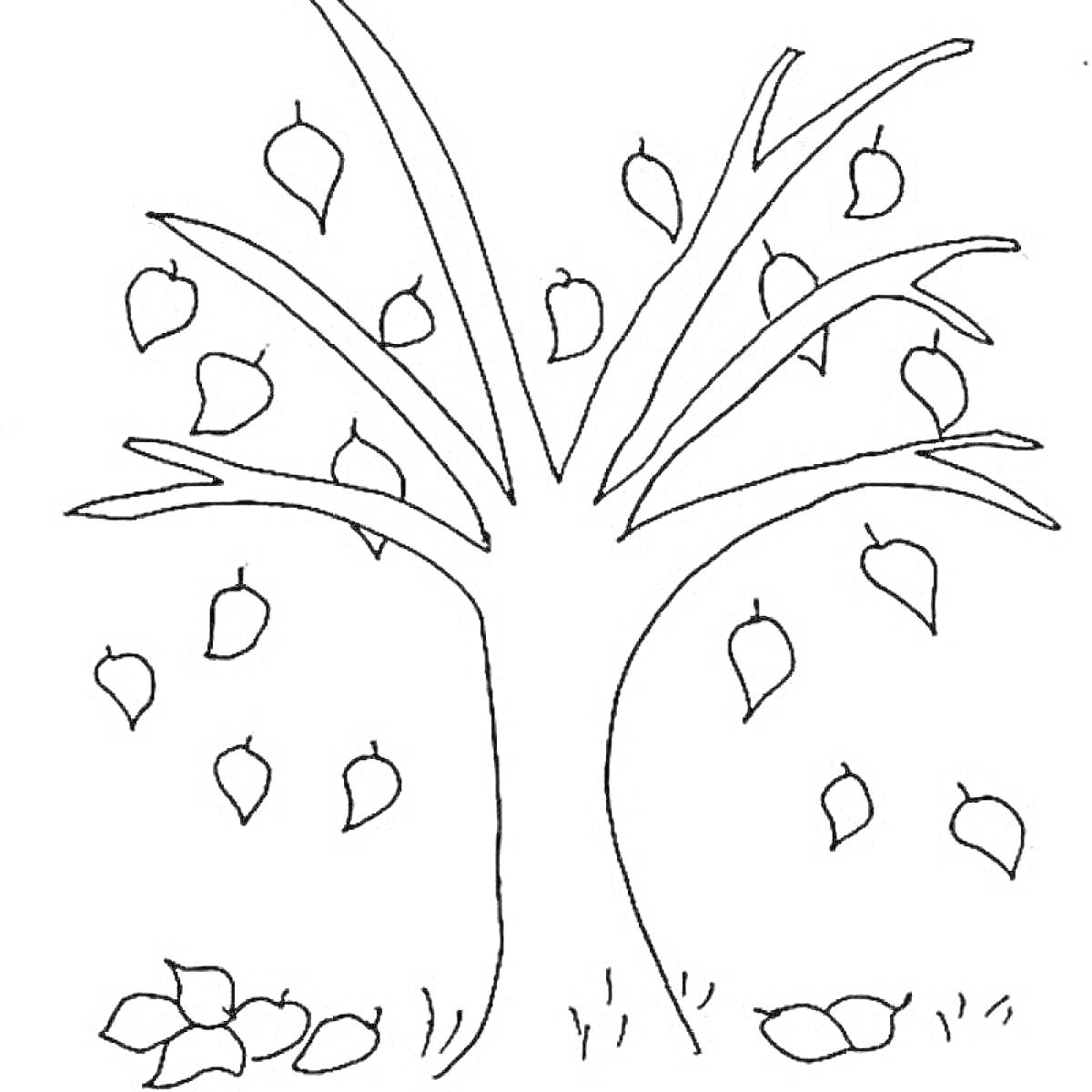 На раскраске изображено: Осень, Листопад, Природа, Листья, Контурные рисунки
