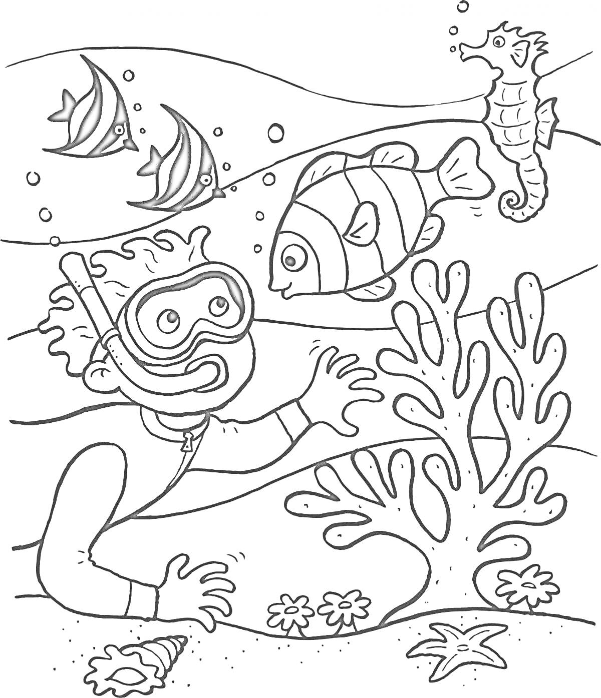 На раскраске изображено: Подводный мир, Мальчик, Морской конек, Кораллы, Плавание, Вода, Подводные растения, Рыба, Ракушка, Океаны, Морские звезды