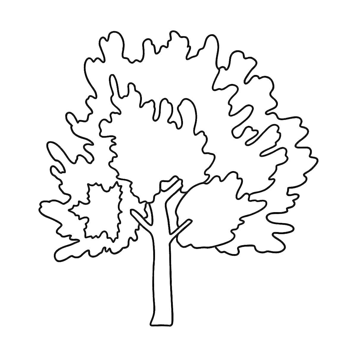 На раскраске изображено: Клен, Листья, Для детей, Природа, Растения