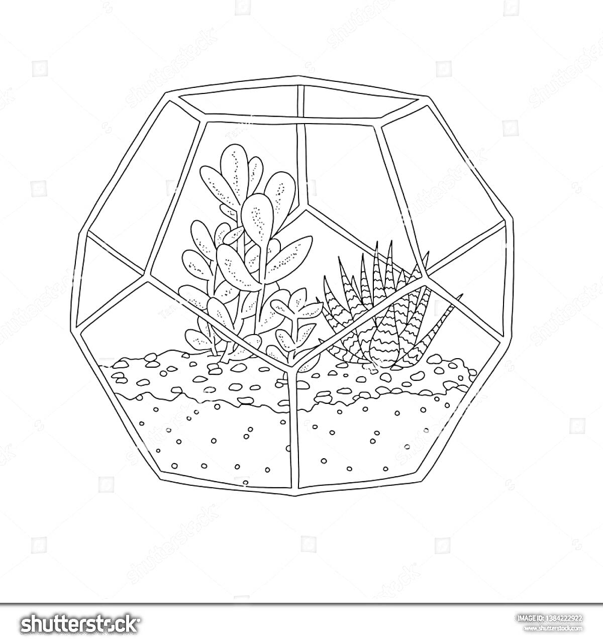 Раскраска Геометрический террариум с суккулентами, галькой и песком