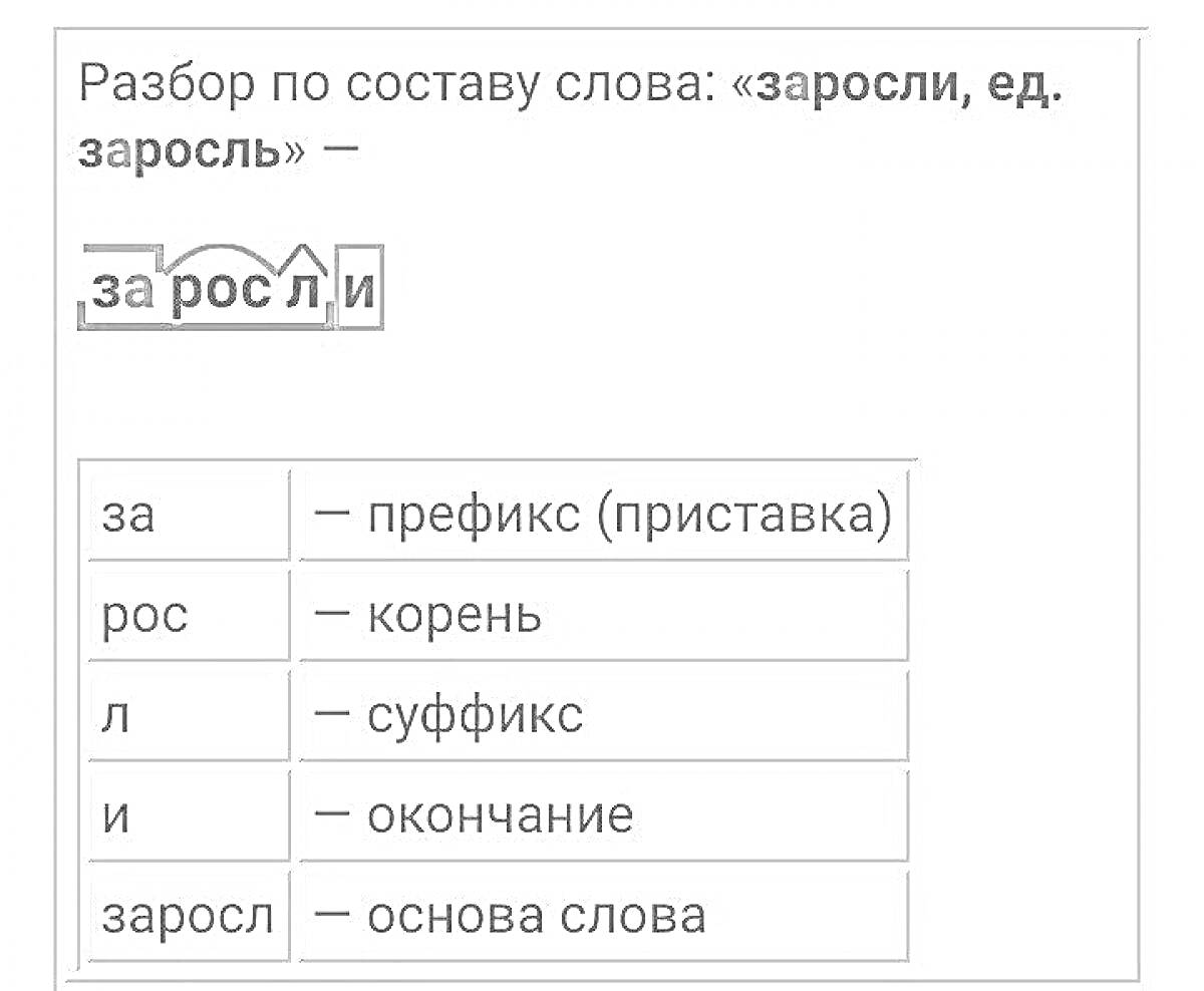 На раскраске изображено: Окончание, Основа слова, Морфемный разбор