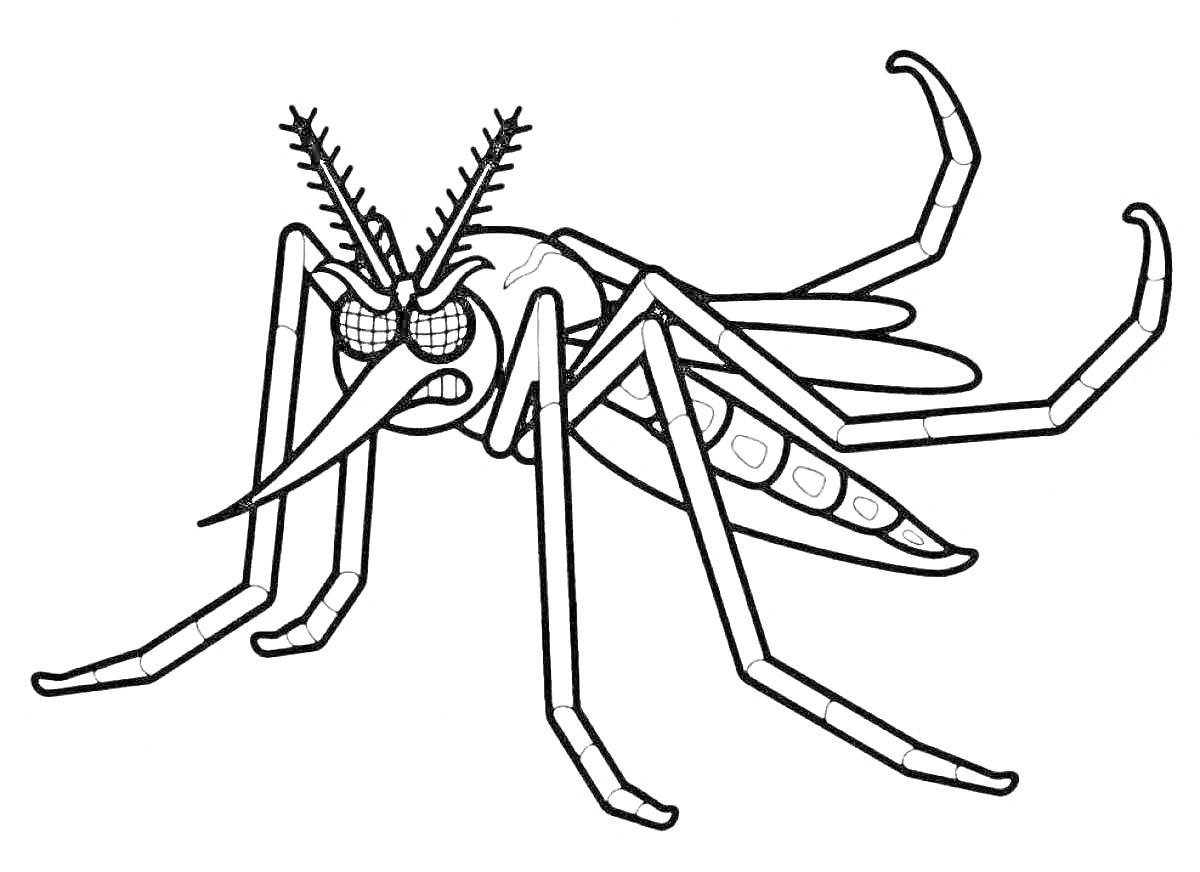 Раскраска Комар с антеннами и шестью лапками в раскраске для детей