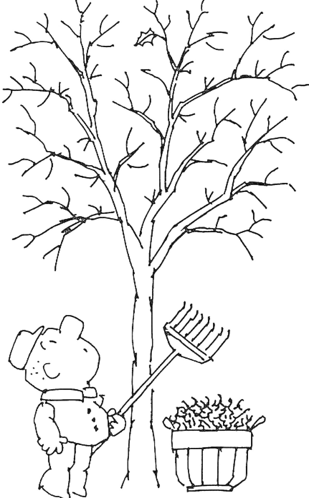 На раскраске изображено: Без листьев, Человек, Грабли, Корзина, Листья, Деревья