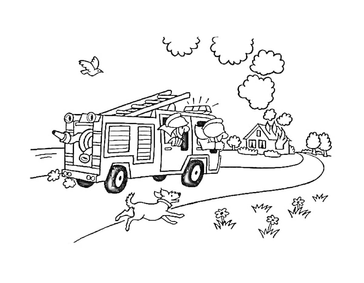 Раскраска Пожарная машина, пожарные с касками, собака, горящий дом, птица, деревья, кусты, цветы, дорога