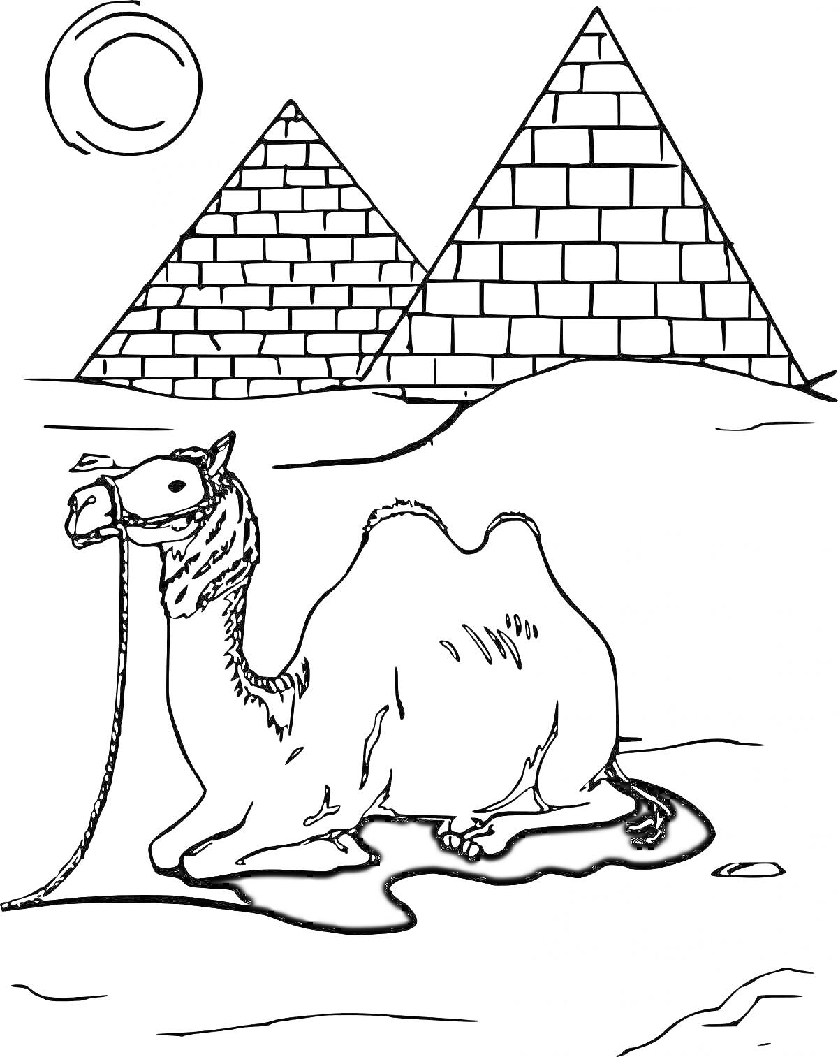 На раскраске изображено: Египет, Верблюд, Солнце, Пустыня