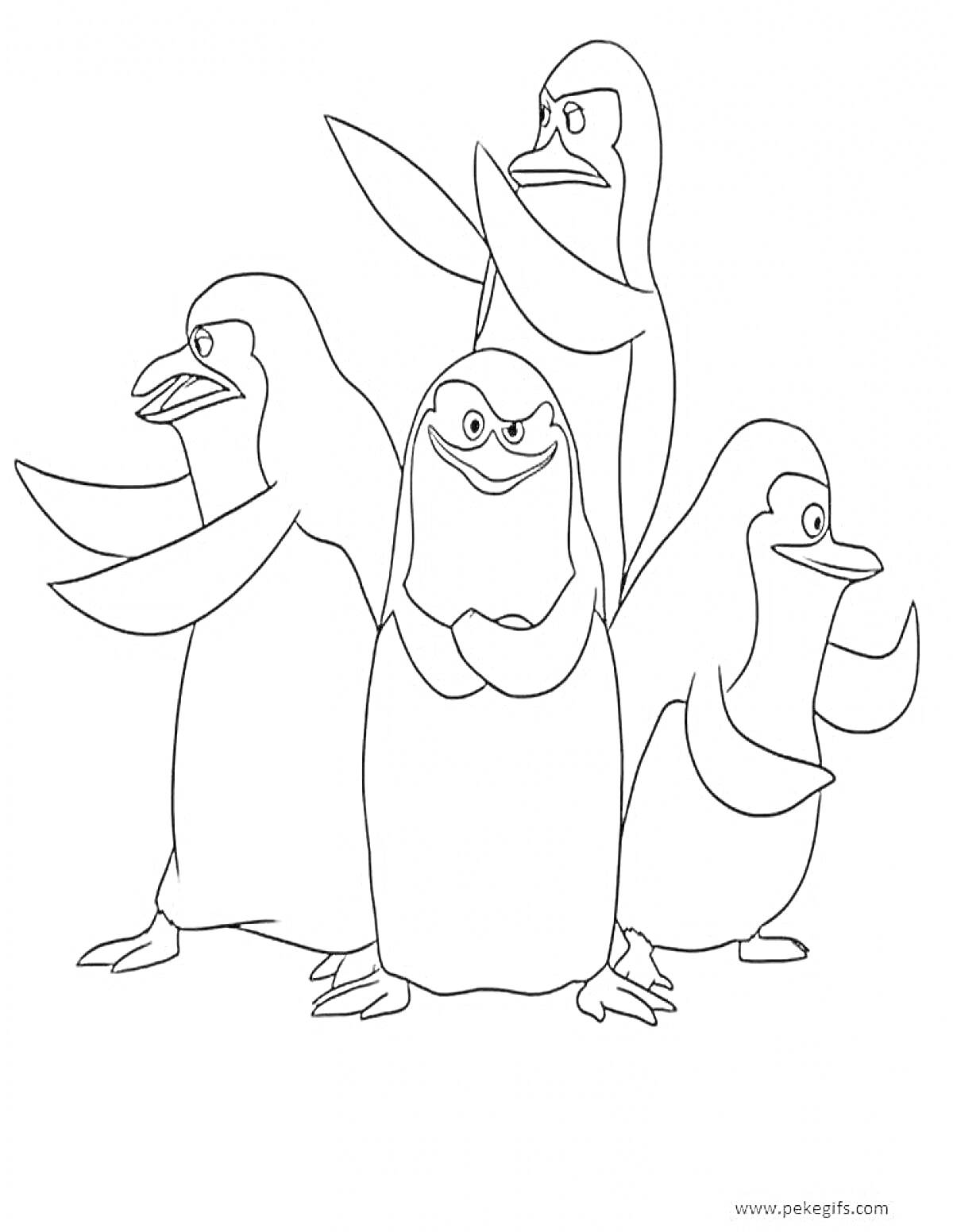 На раскраске изображено: Пингвины, Мадагаскар, Животные, Анимация
