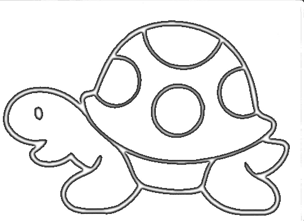 Раскраска Черепаха с пятнистыми панцирем