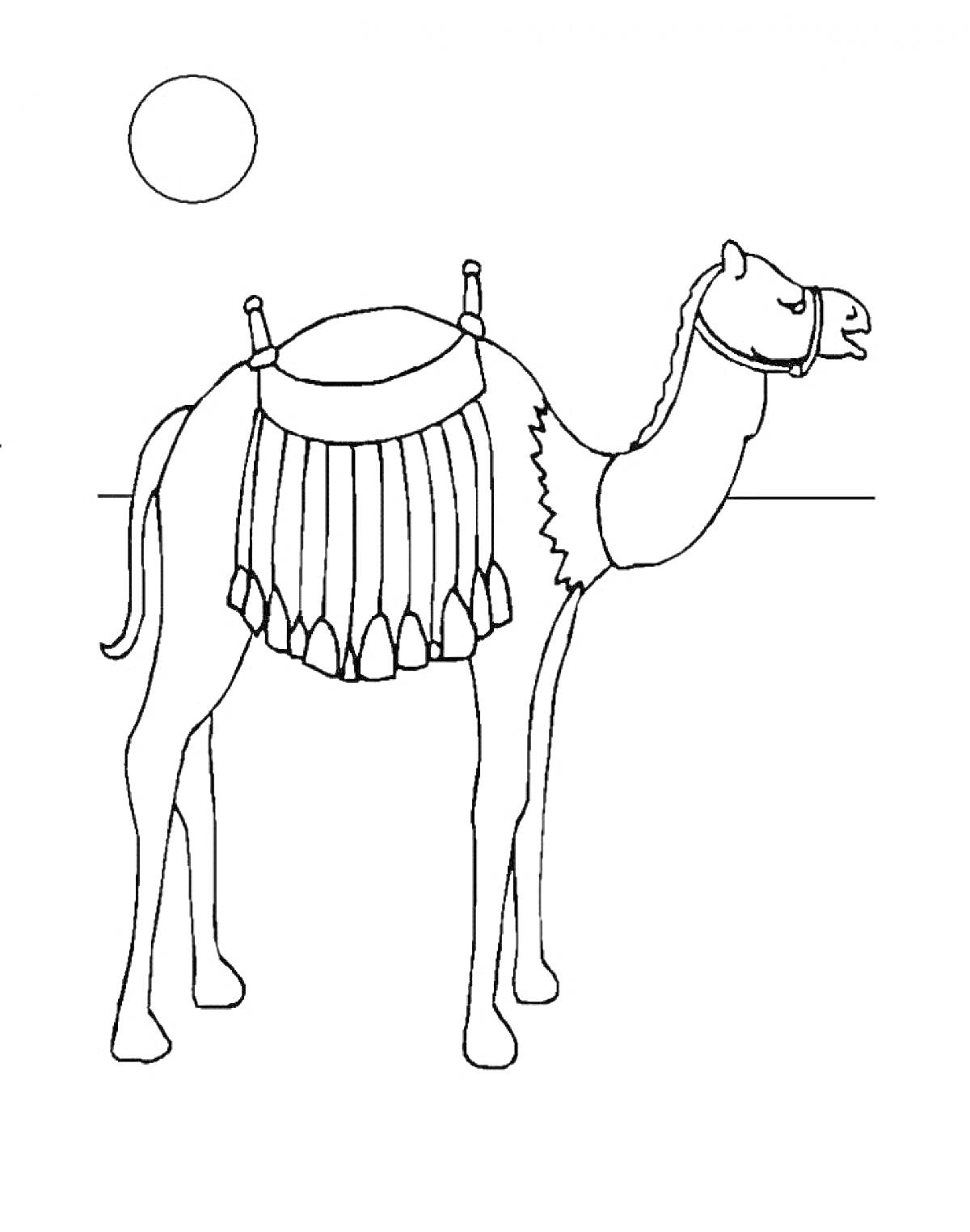 На раскраске изображено: Верблюд, Седло, Солнце, Пустыня, Контурное изображение, Животные