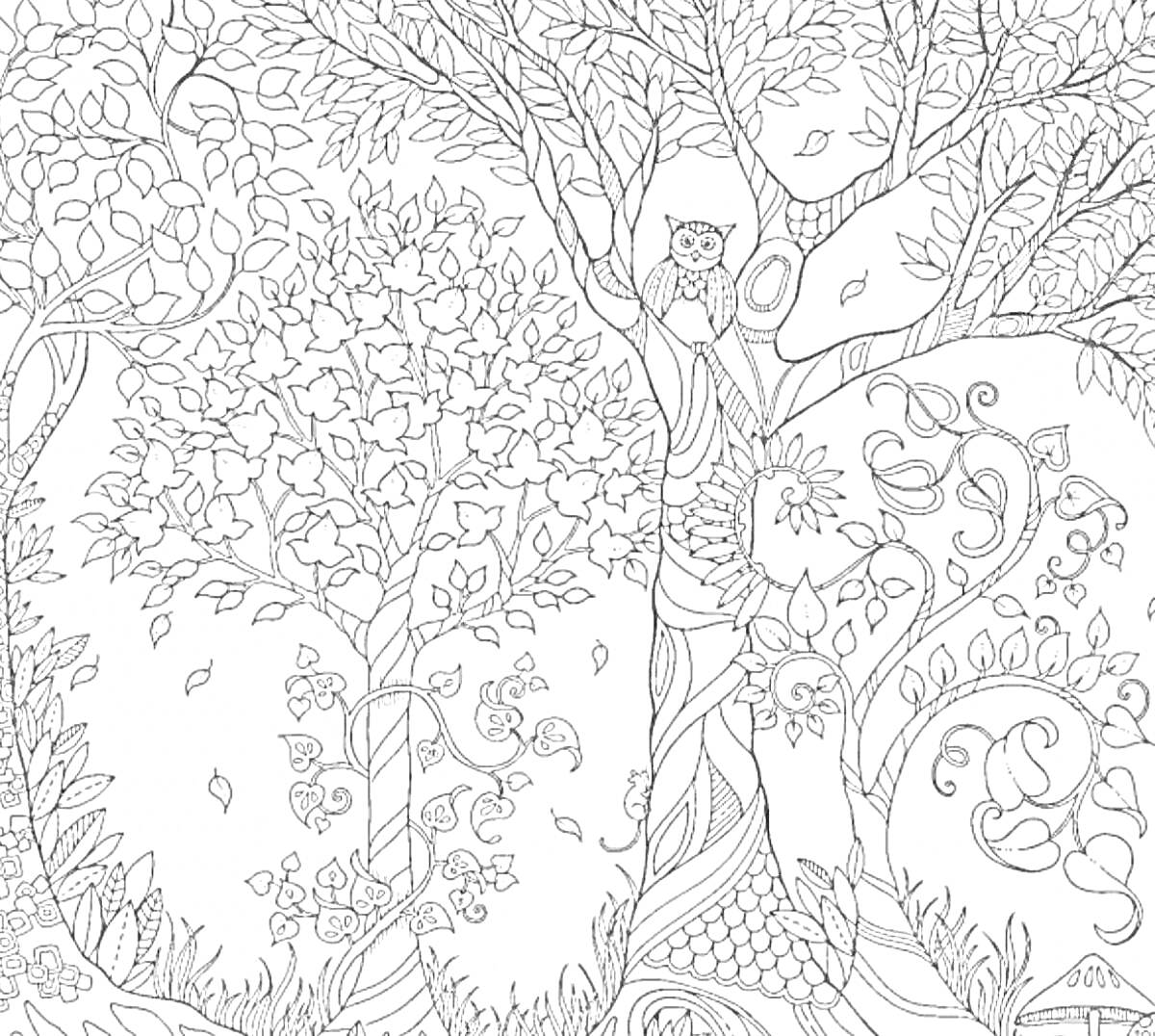 На раскраске изображено: Лес, Сова, Листья, Цветы, Природа, Для детей, Ветка, Деревья