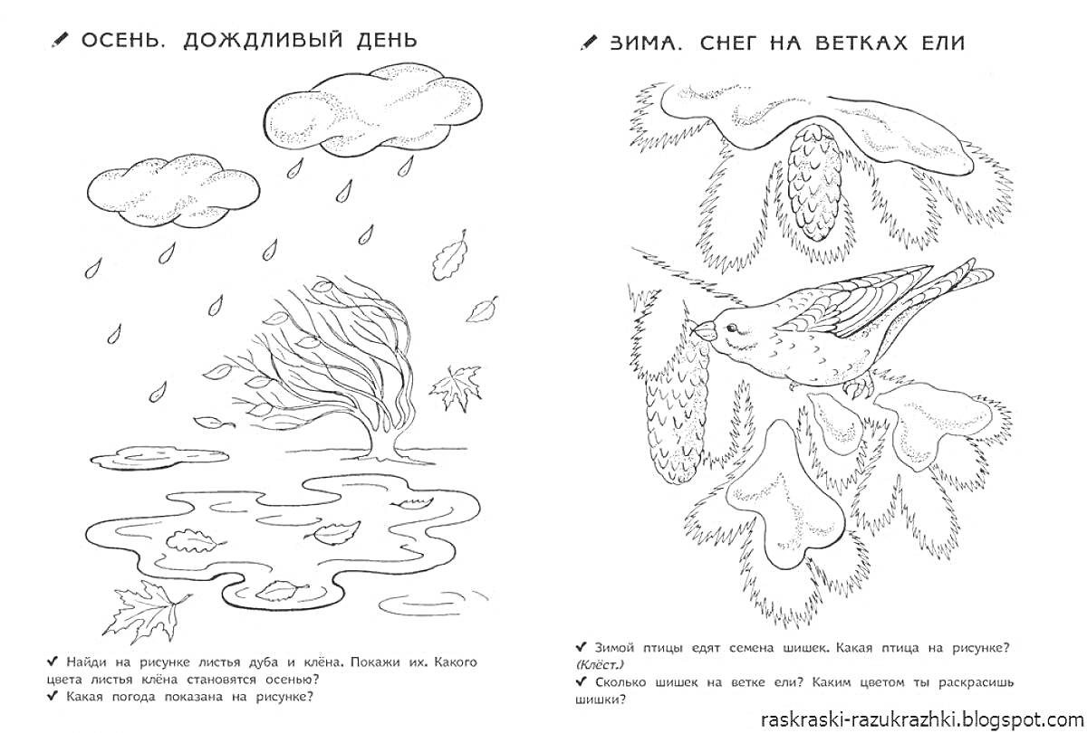 На раскраске изображено: Осень, Дождь, Ветер, Листья, Зима, Снег, Птица, Природа, Времена года