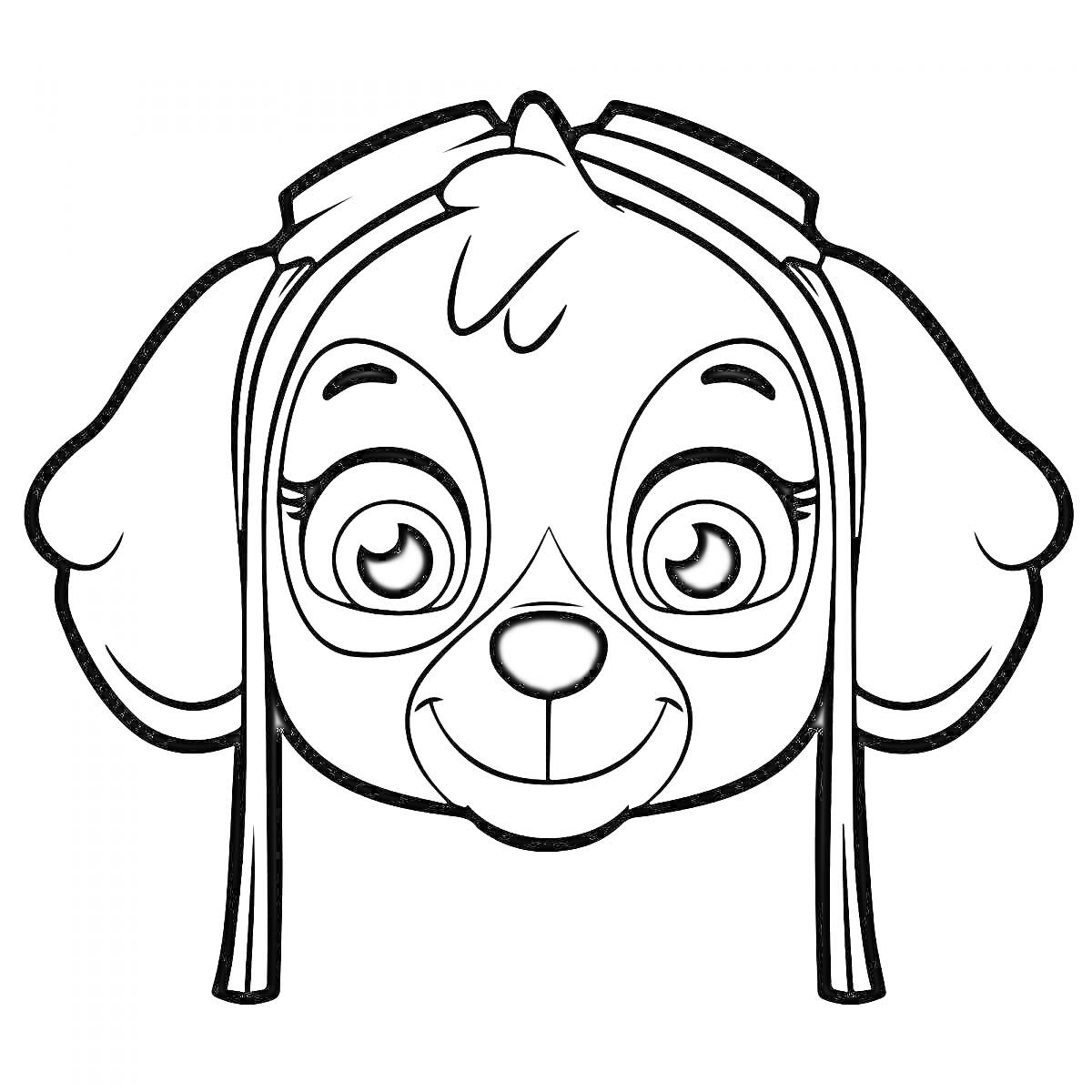На раскраске изображено: Скай, Большие глаза, Уши, Защитные очки, Собака