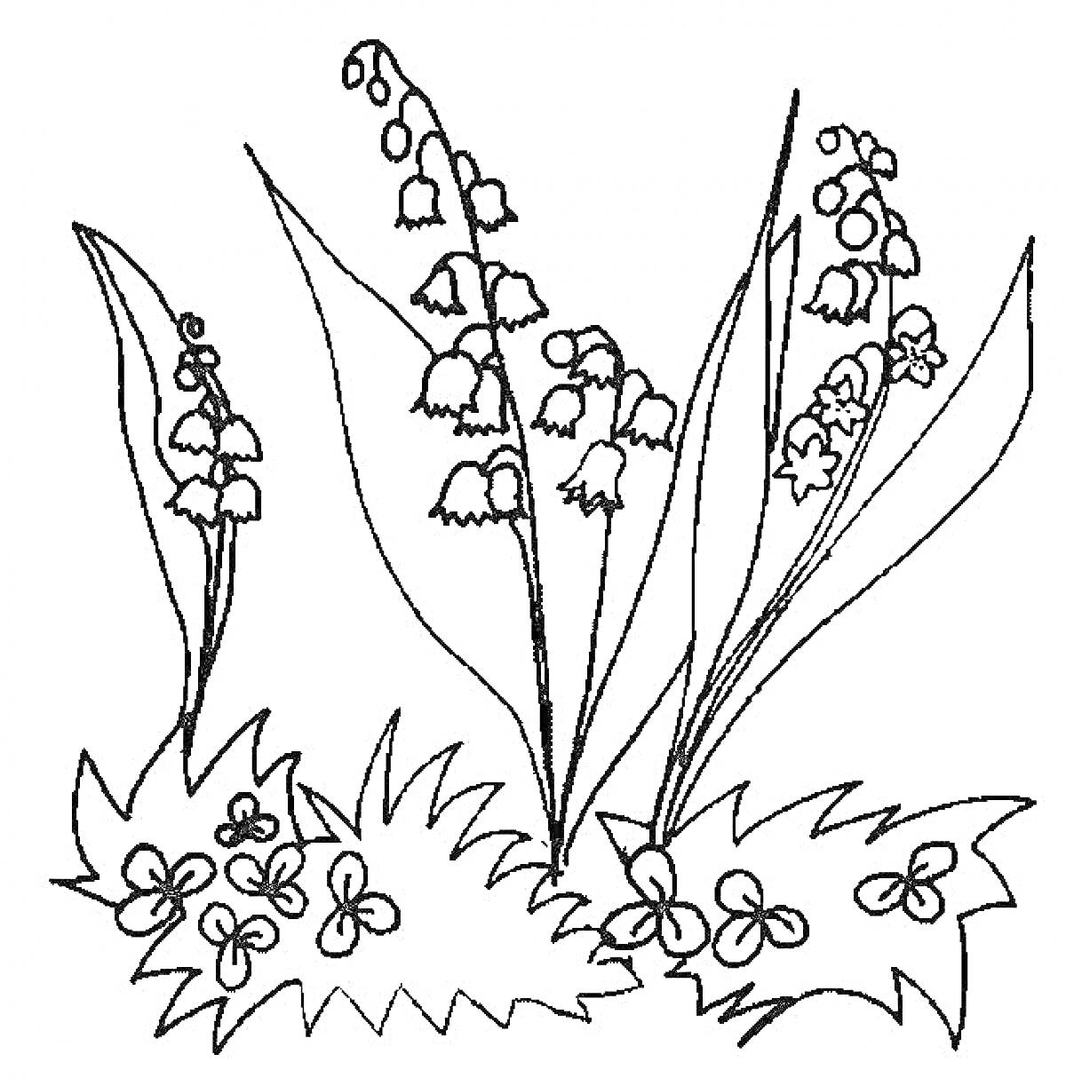 Ландыши с цветущими цветками и листьями на фоне травы и других растений