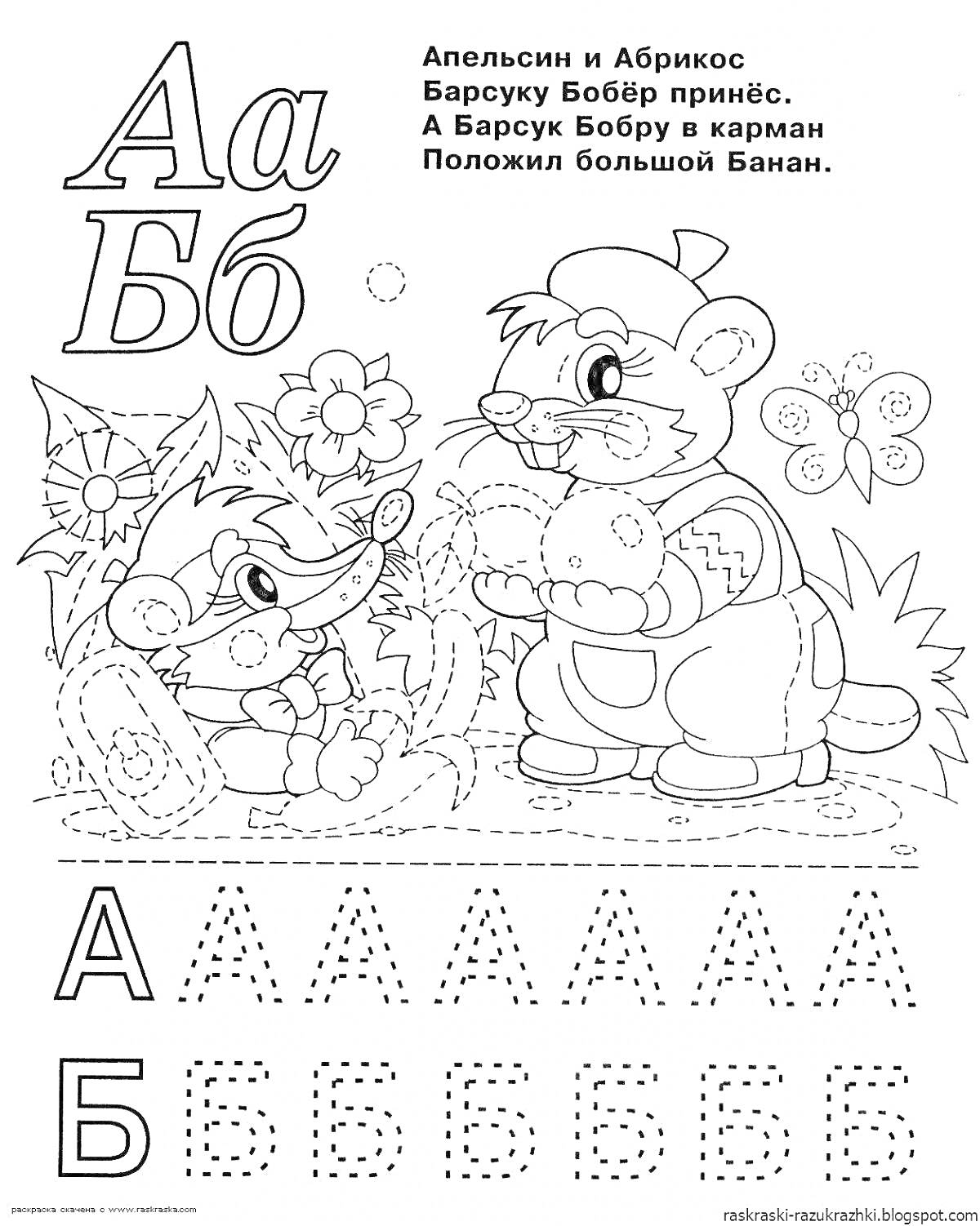Алфавитная раскраска, буквы А и Б, барсук с бобром, енот, описание, цветы, точечные линии для обводки букв