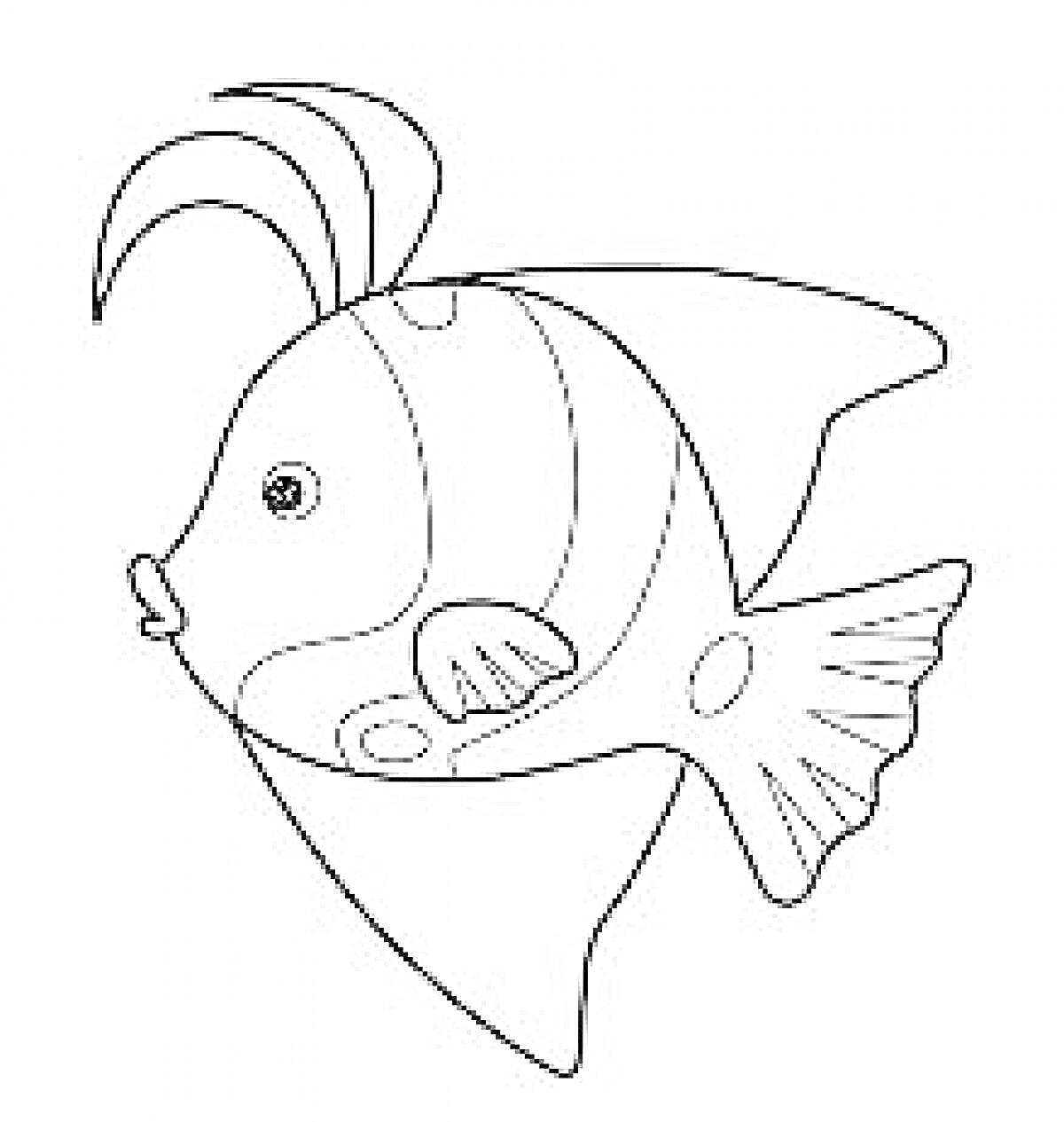Раскраска Раскраска рыбка с плавниками, глазом и узором