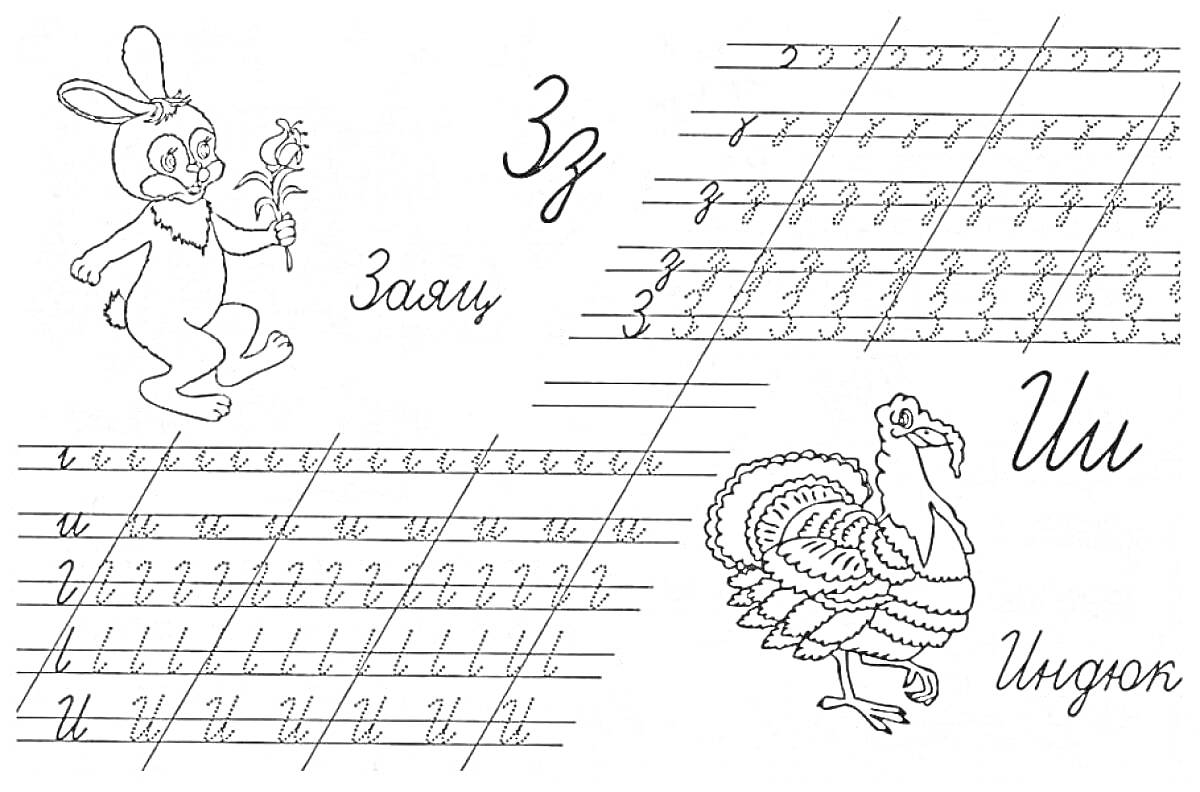 На раскраске изображено: Индюк, Буква З, Прописные буквы, Каллиграфия, Обучение письму