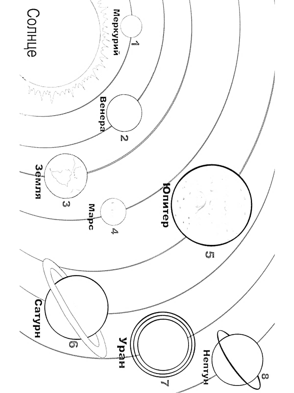 Раскраска Солнечная система с планетами: Солнце, Меркурий, Венера, Земля, Марс, Юпитер, Сатурн, Уран, Нептун.