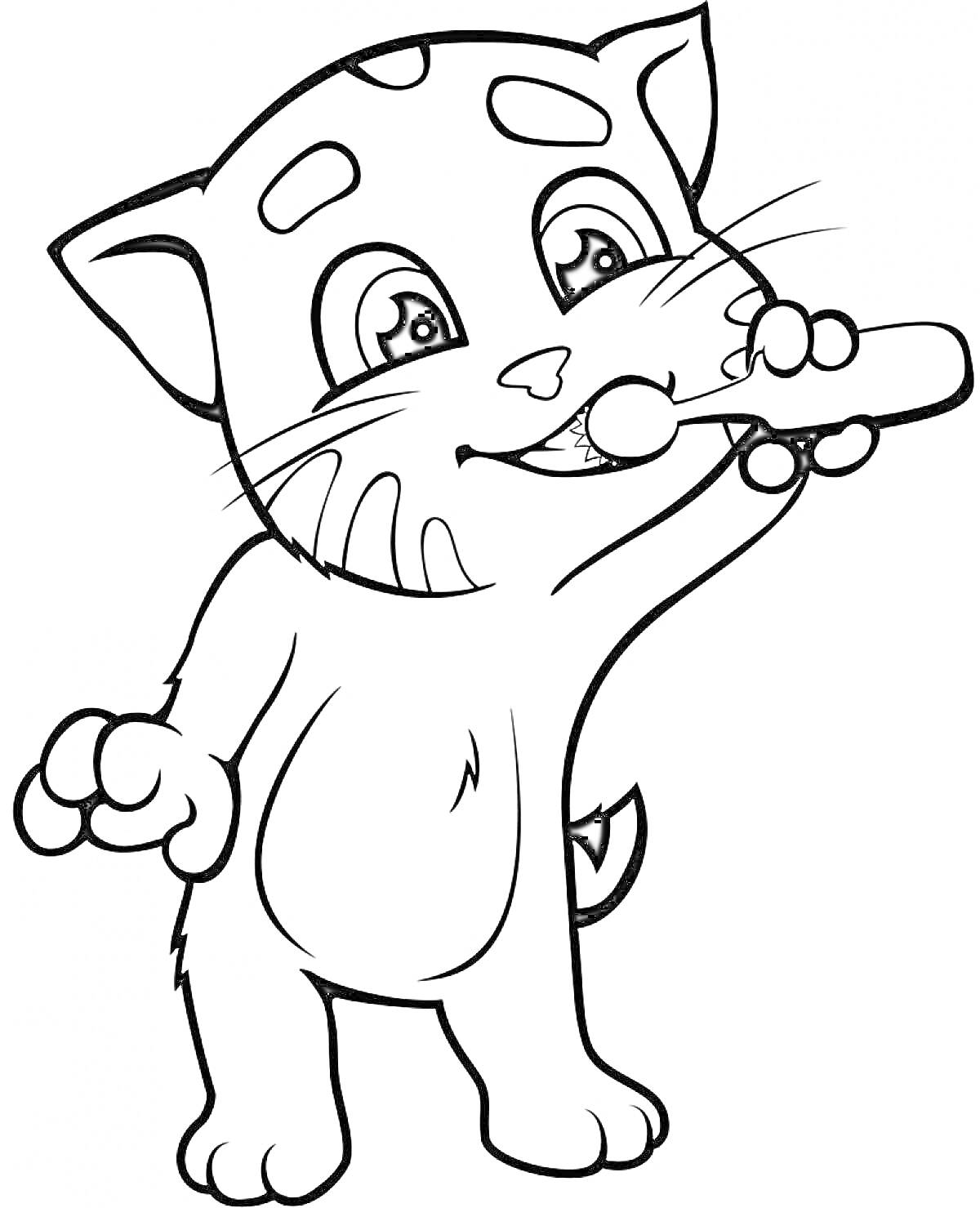 Раскраска Кошка с зубной щеткой