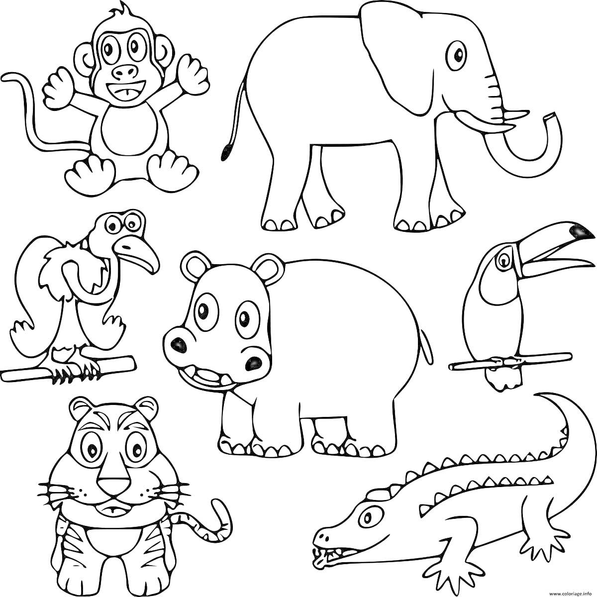 На раскраске изображено: Животные, Африка, Слон, Гриф, Гиппопотам, Тукан, Тигр, Крокодил