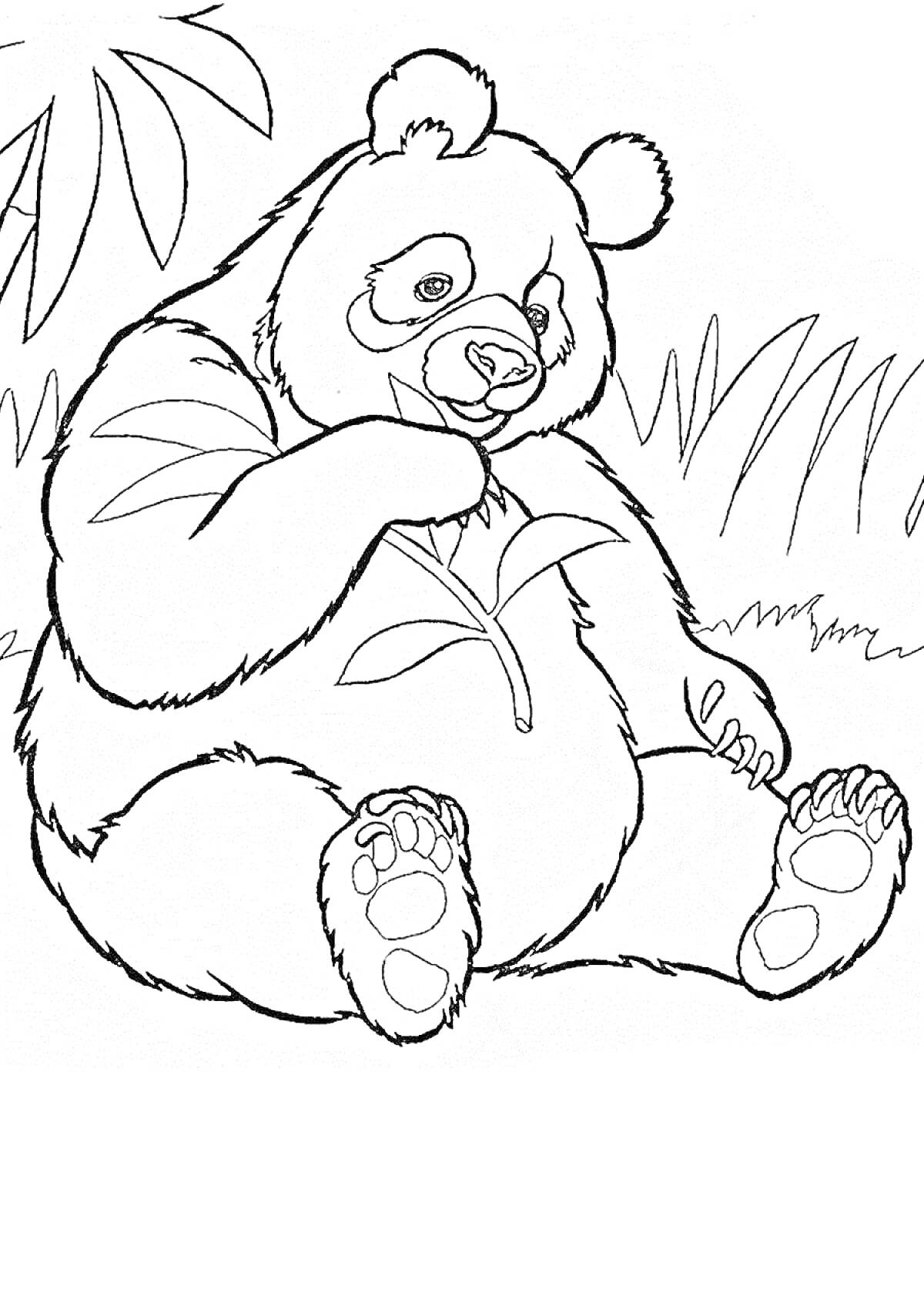 Раскраска Панда, сидящая среди травы и держащая бамбук