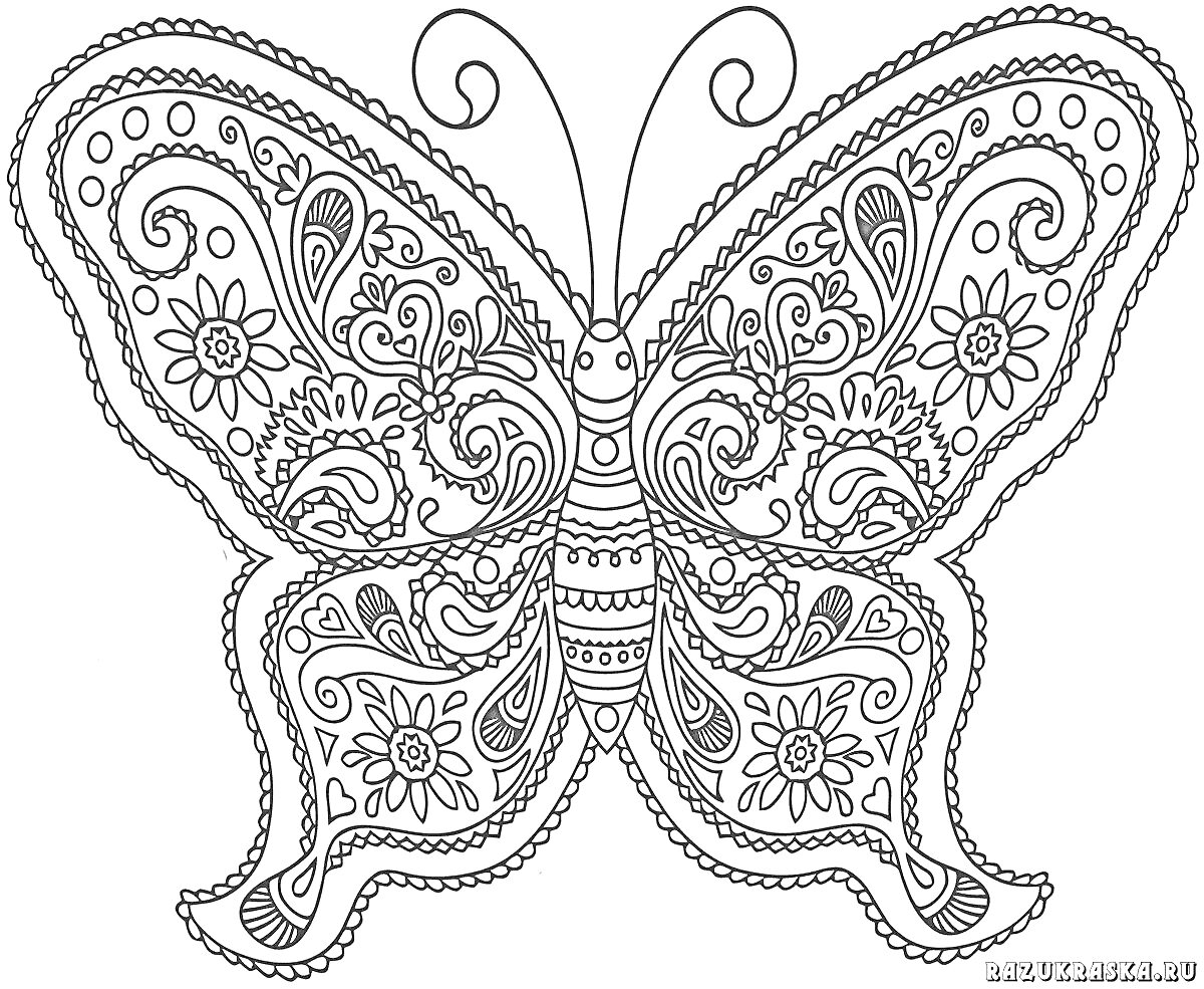 На раскраске изображено: Бабочка, Узоры, Цветы, Волнистые линии, Антенны, Симметрия, Спираль, Сложные