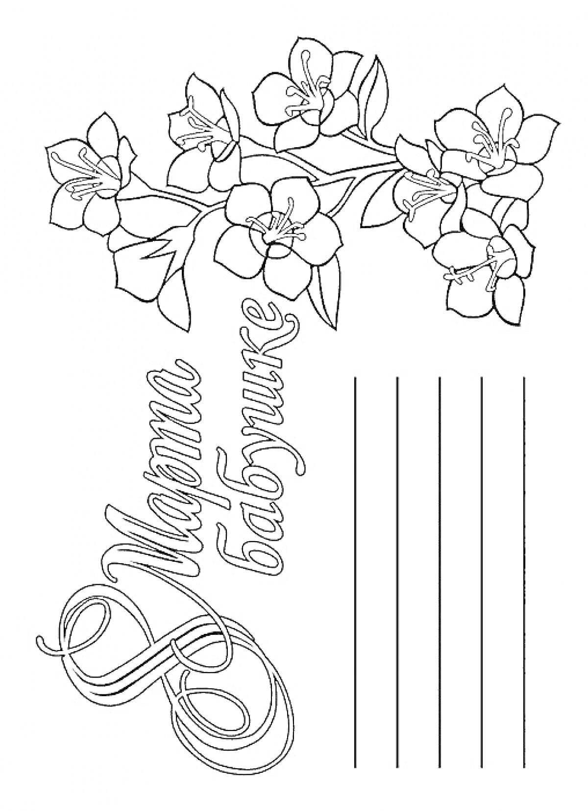 Раскраска Открытка на 8 Марта для бабушки с веткой цветущей сакуры