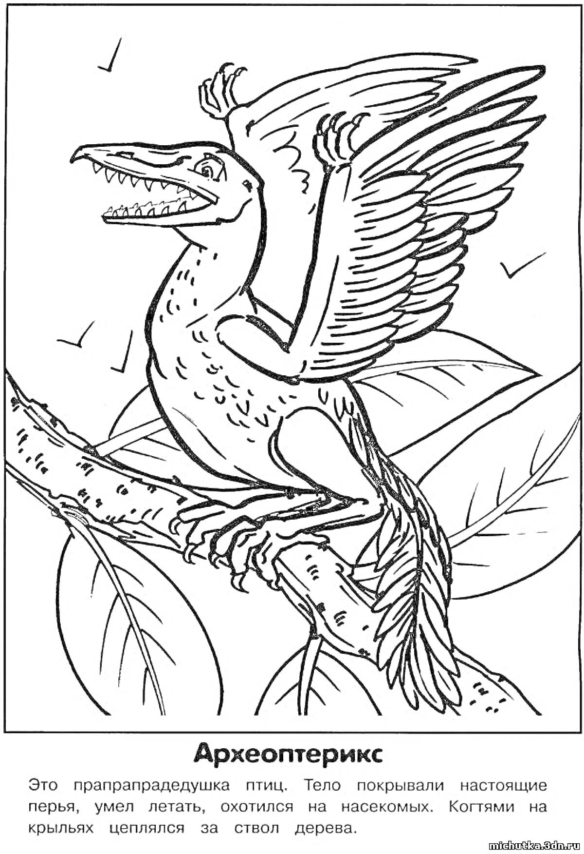 Раскраска Археоптерикс, сидящий на ветке дерева с растопыренными крыльями и открытой пастью