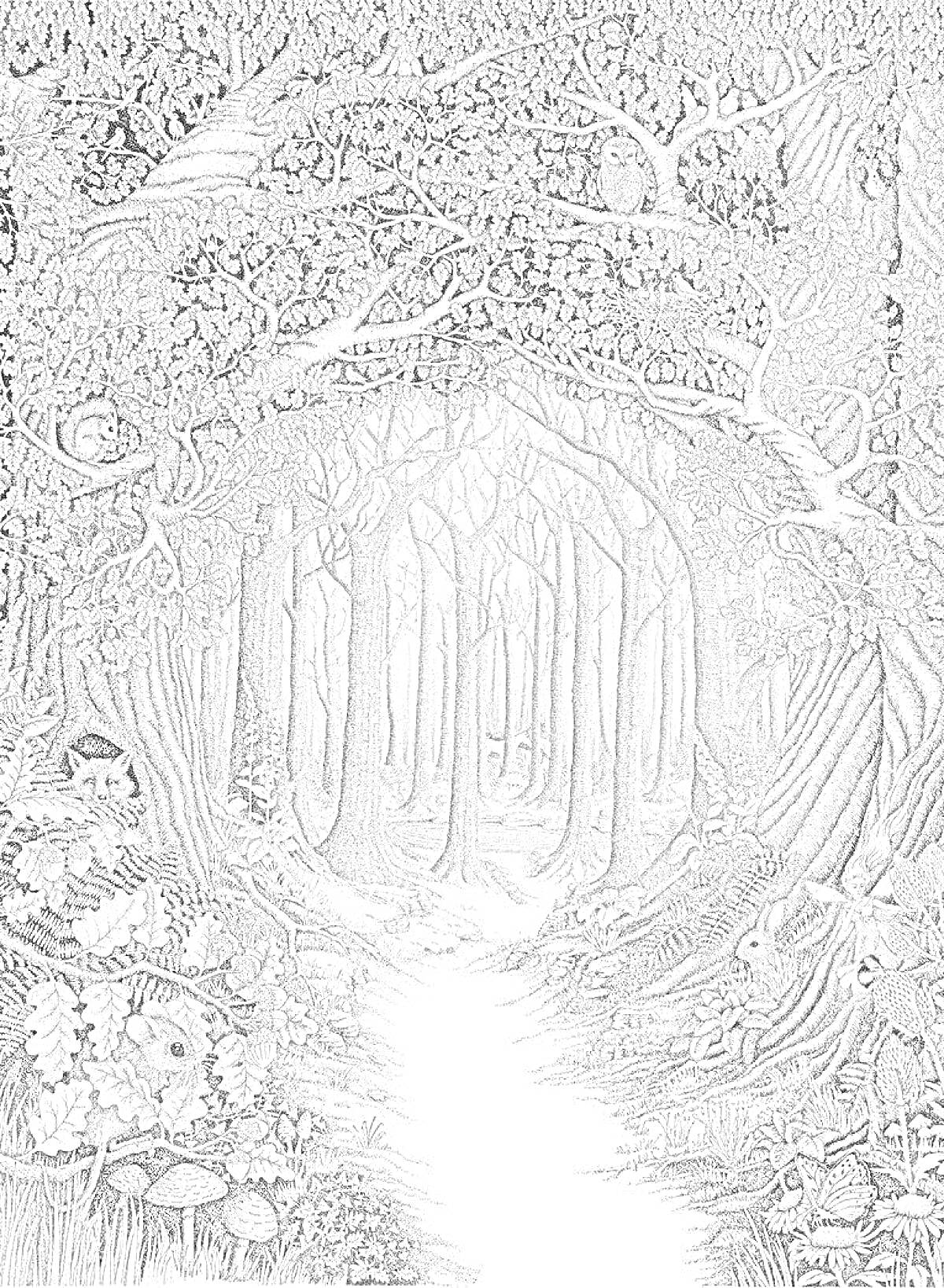 На раскраске изображено: Лес, Деревья, Лесные животные, Грибы, Листья, Природа, Антистресс, Загадочный лес