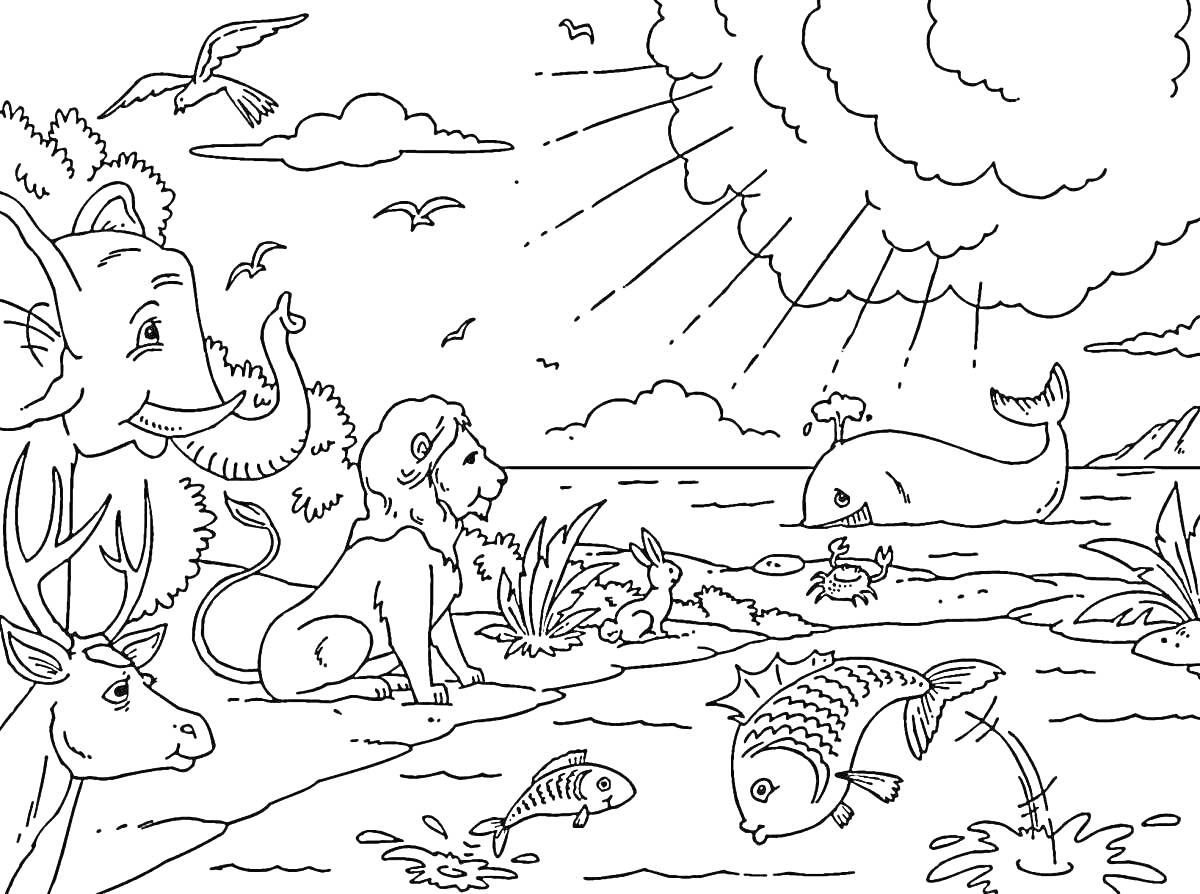 На раскраске изображено: Природа, Лодка, Рыба, Олень, Слон, Лев, Солнце, Облака, Развивающая деятельность, Птица, Животные