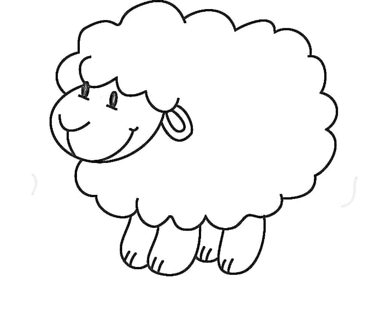 Раскраска Раскраска овца с кудрявой шерстью и улыбкой